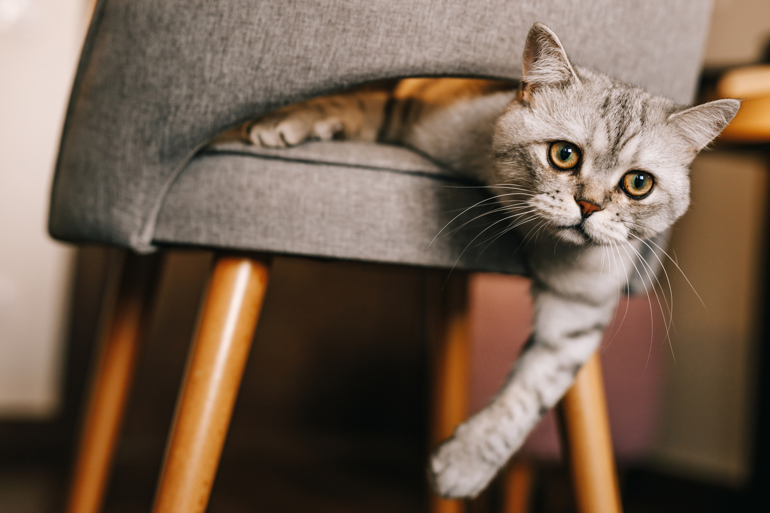 Съёмка дома. Дмитрий Мартьянов семейный фотограф в Санкт-Петербурге
