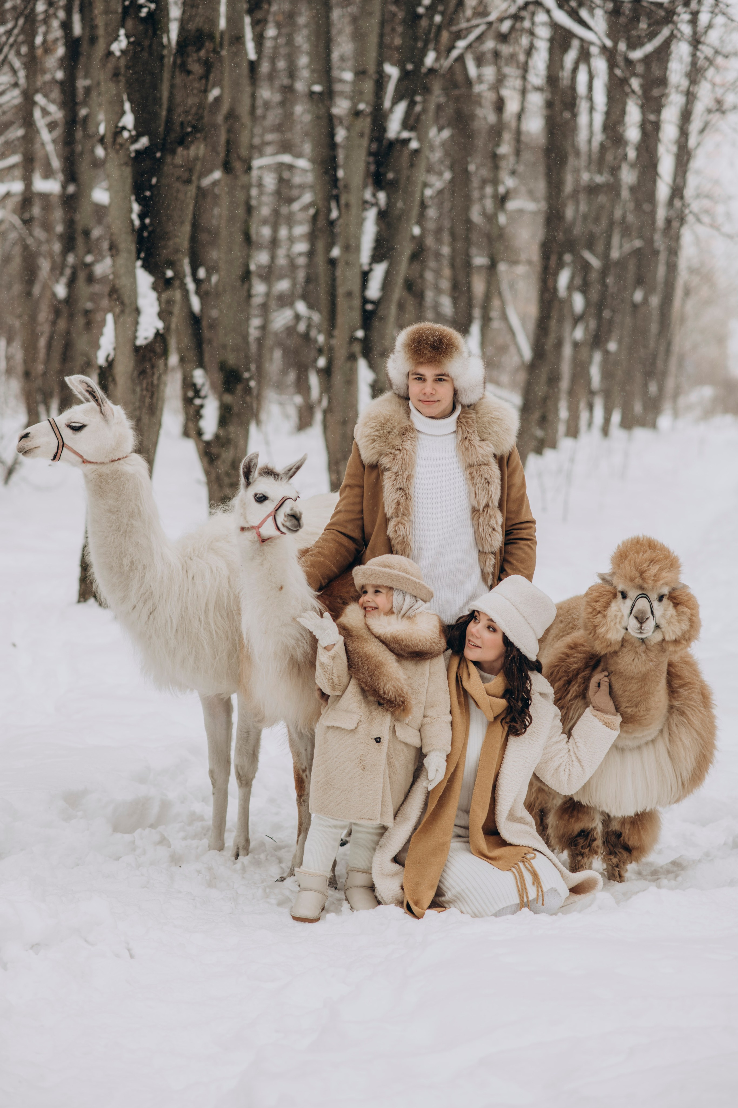 Зимняя фотосессия с Альпаками. Свадебный фотограф в Дмитрове