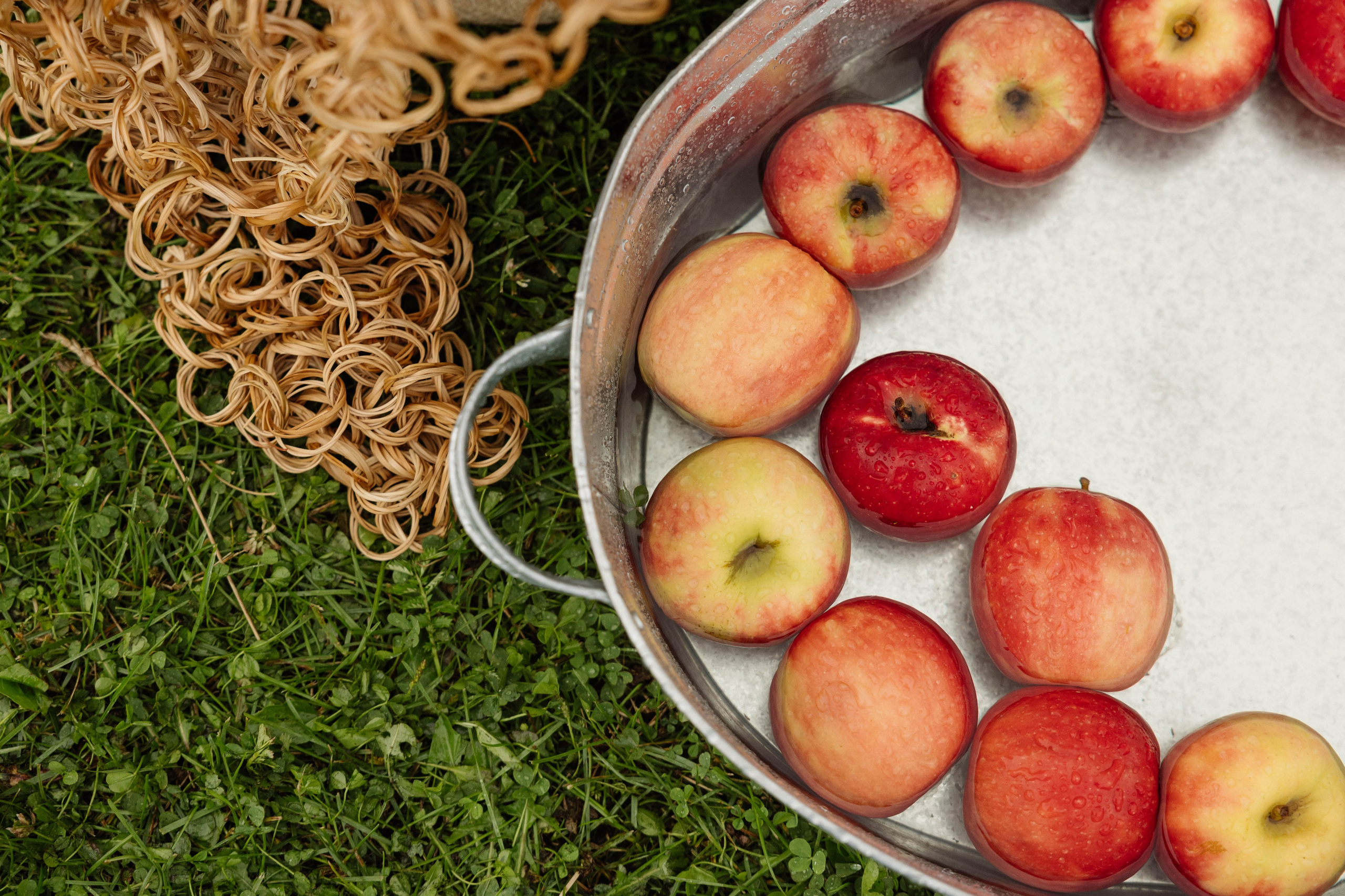 Летнее корпоративное событие ПАО «Совкомбанк». Свадебный фотограф Красноярск Элина Леонова