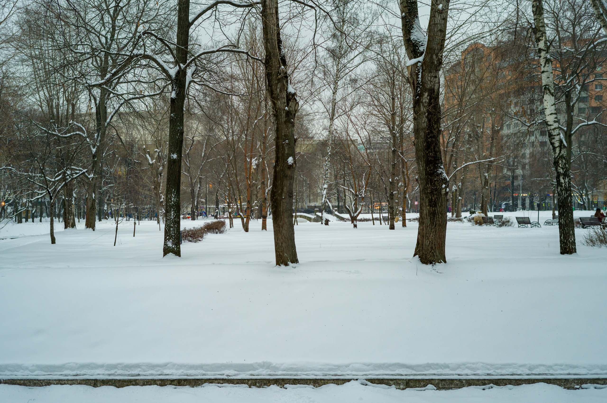 Зимний парк в Москве