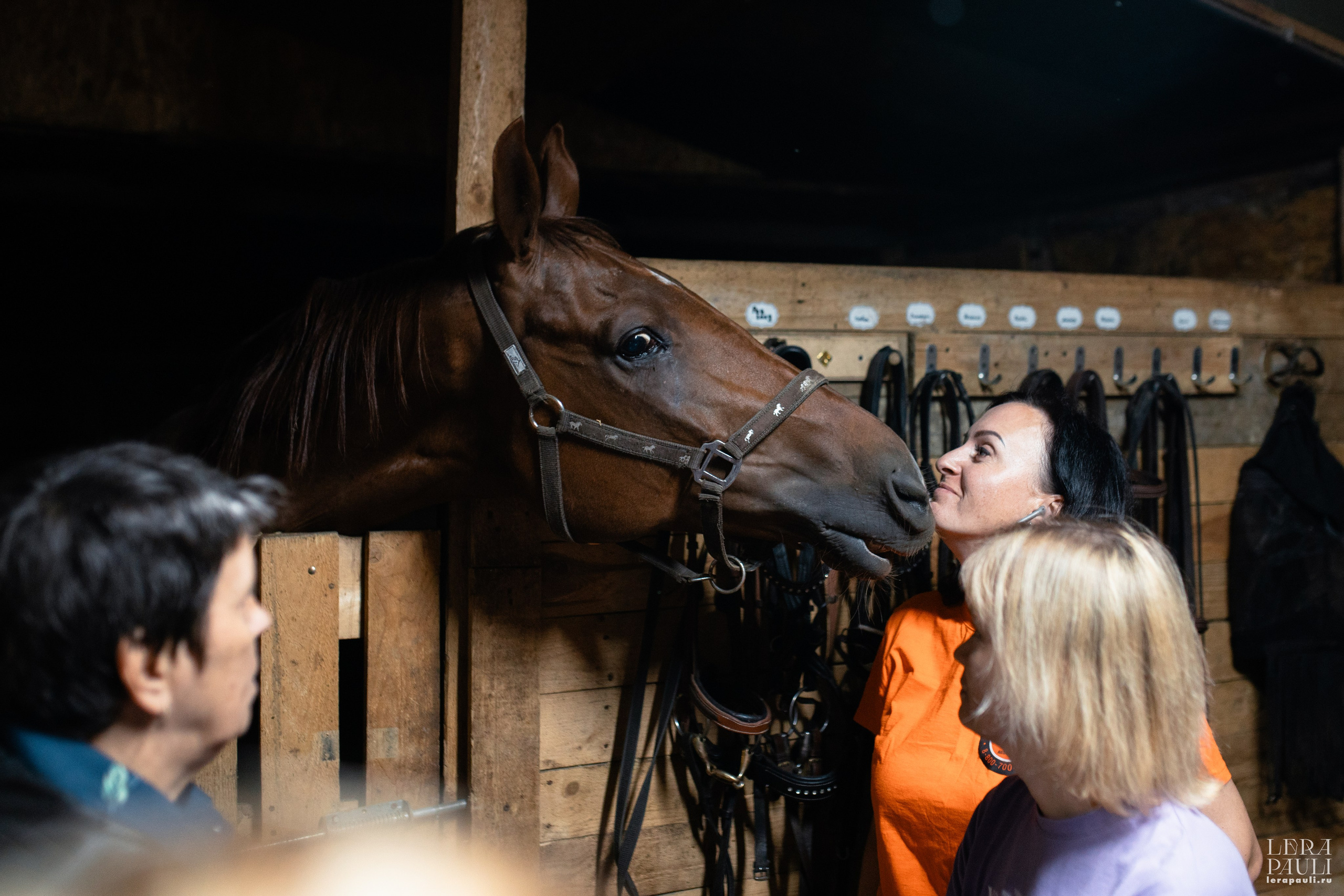 ДПСО «ЛизаАлерт». Главная