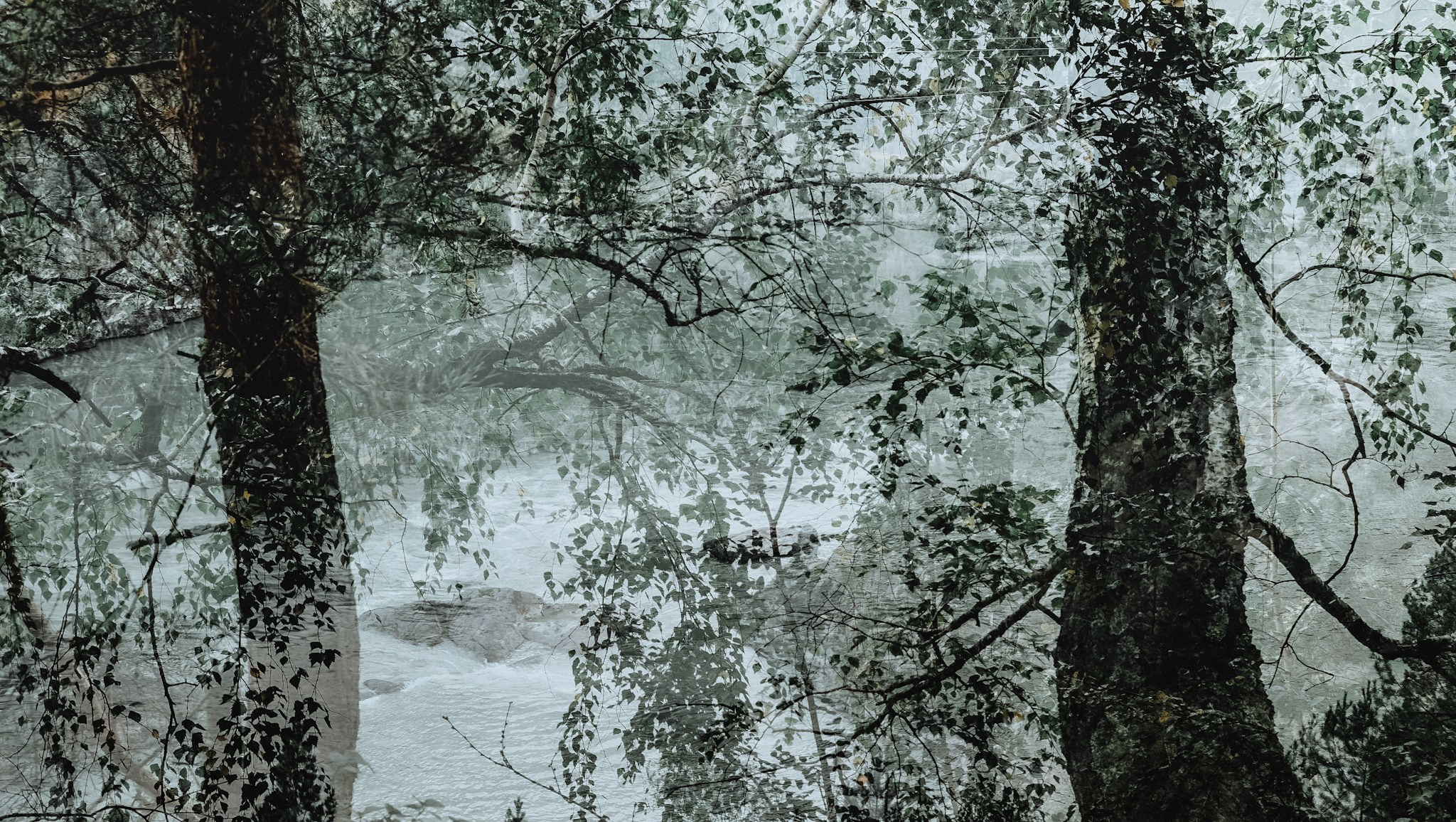 Алтай (мобилография). Фотограф в Москве, в Самаре Инна Мамонова