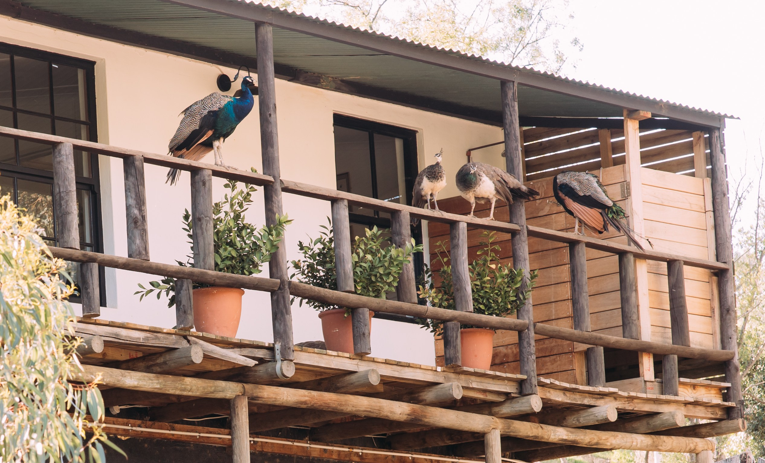 ФОТО ТУРЫ ПО МИРУ. Фотограф Марина Аблаева-Кожедуб