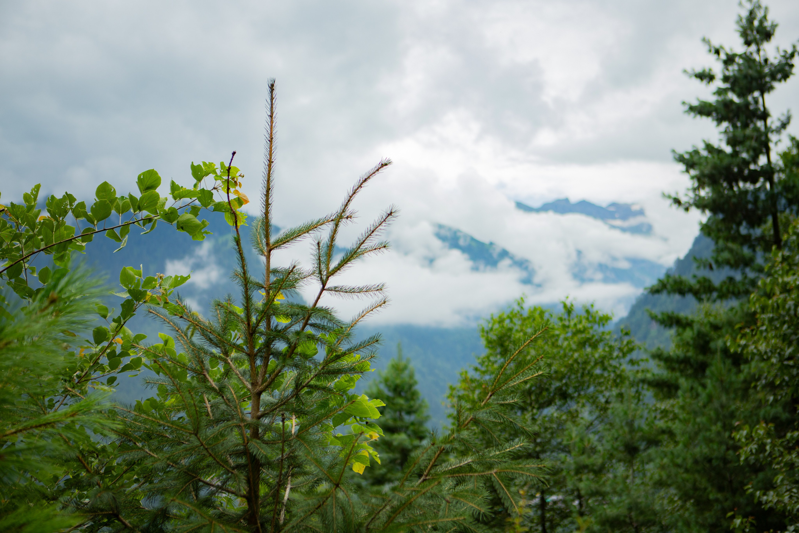 Temple for rest. Сайт Фотографа MASHASOLAR