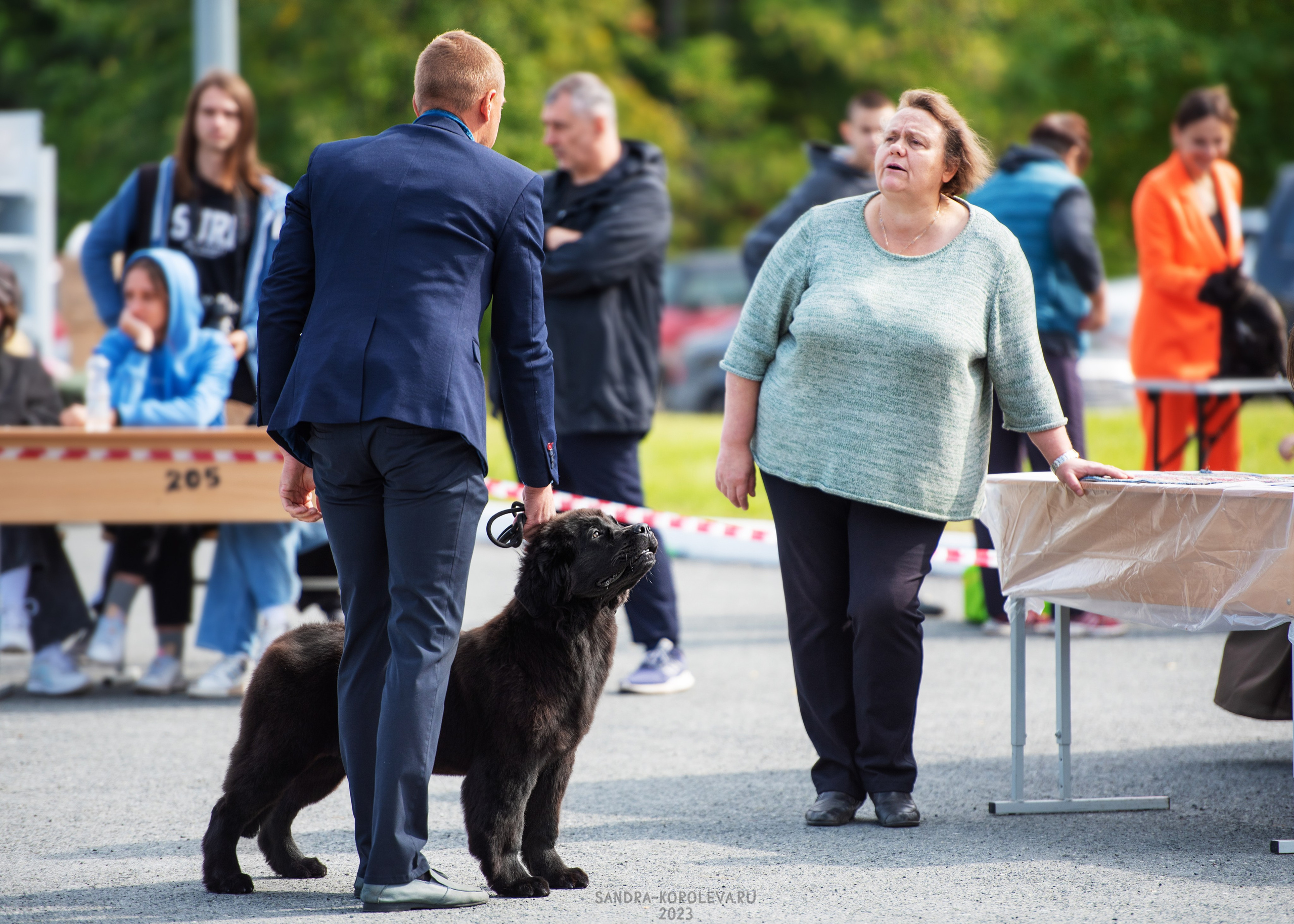 Выставка собак Тюмень 02.09.2023. Дог-фотограф в Тюмени Александра Королева