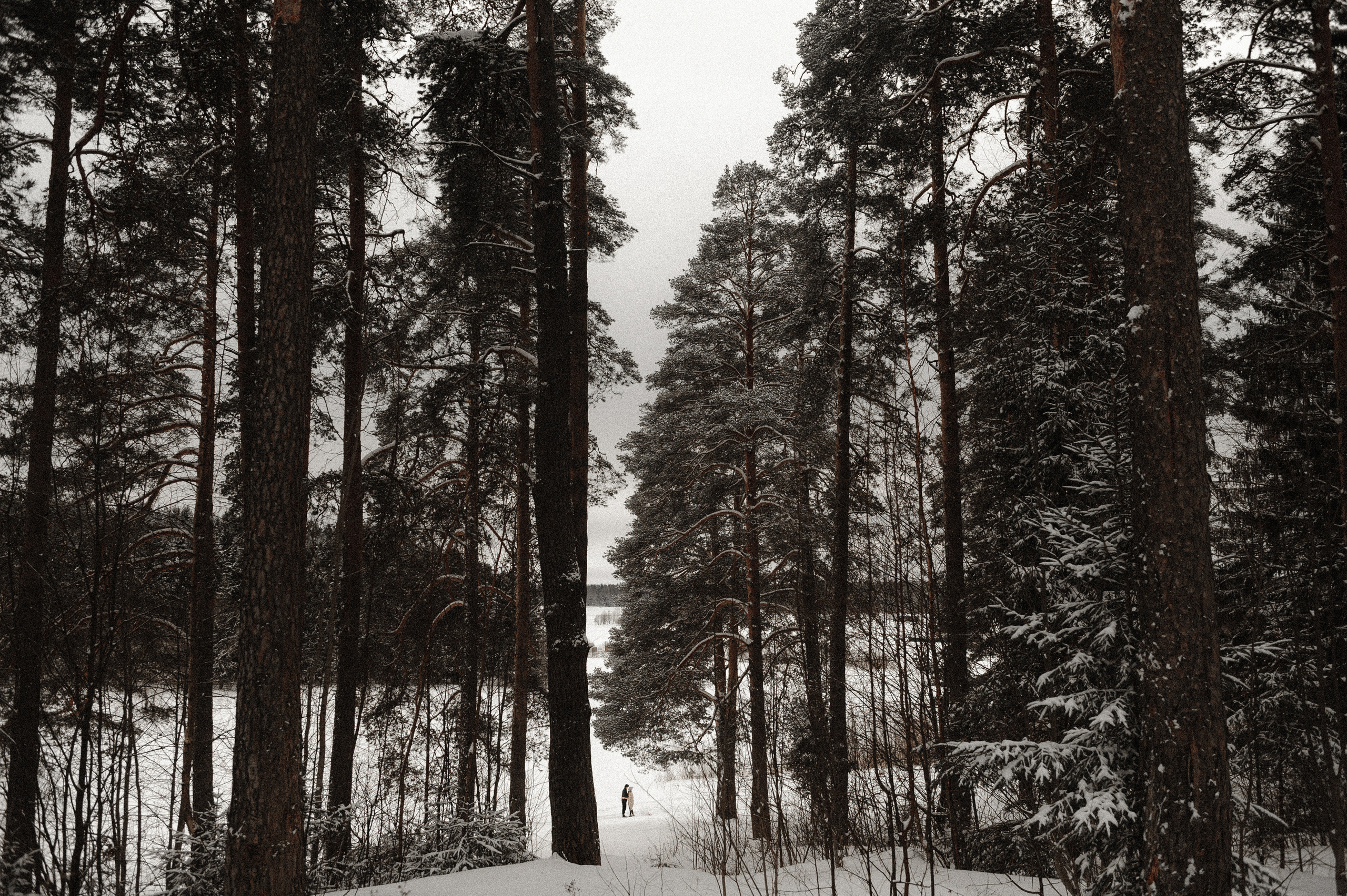 I&A. Свадебный фотограф в Ярославле и Москве Руслан Иософатов