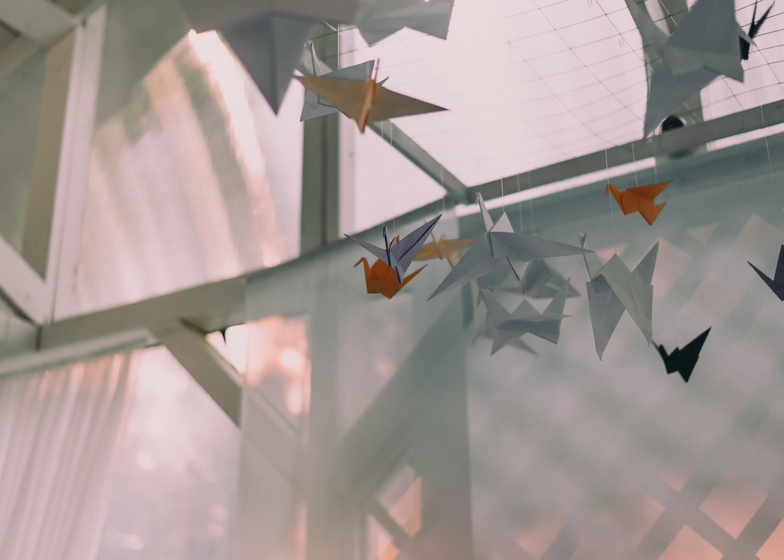 Антон + Надя. Портретный фотограф в Ярославле Юлия Румянцева