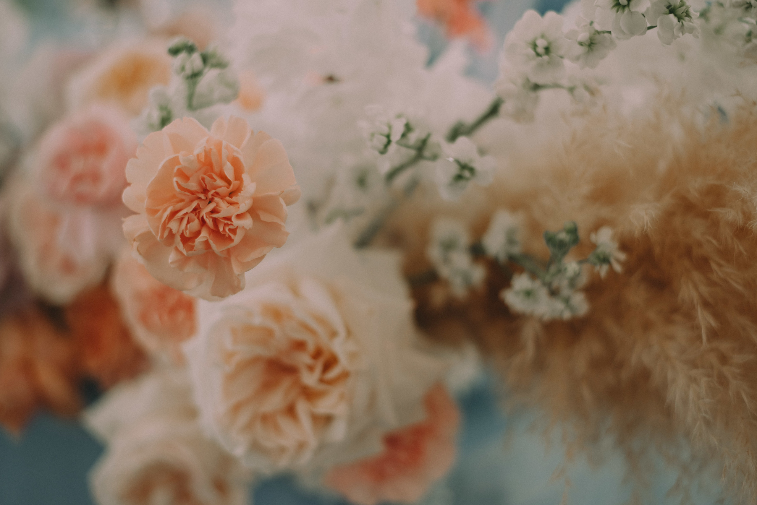 Антон + Надя. Портретный фотограф в Ярославле Юлия Румянцева