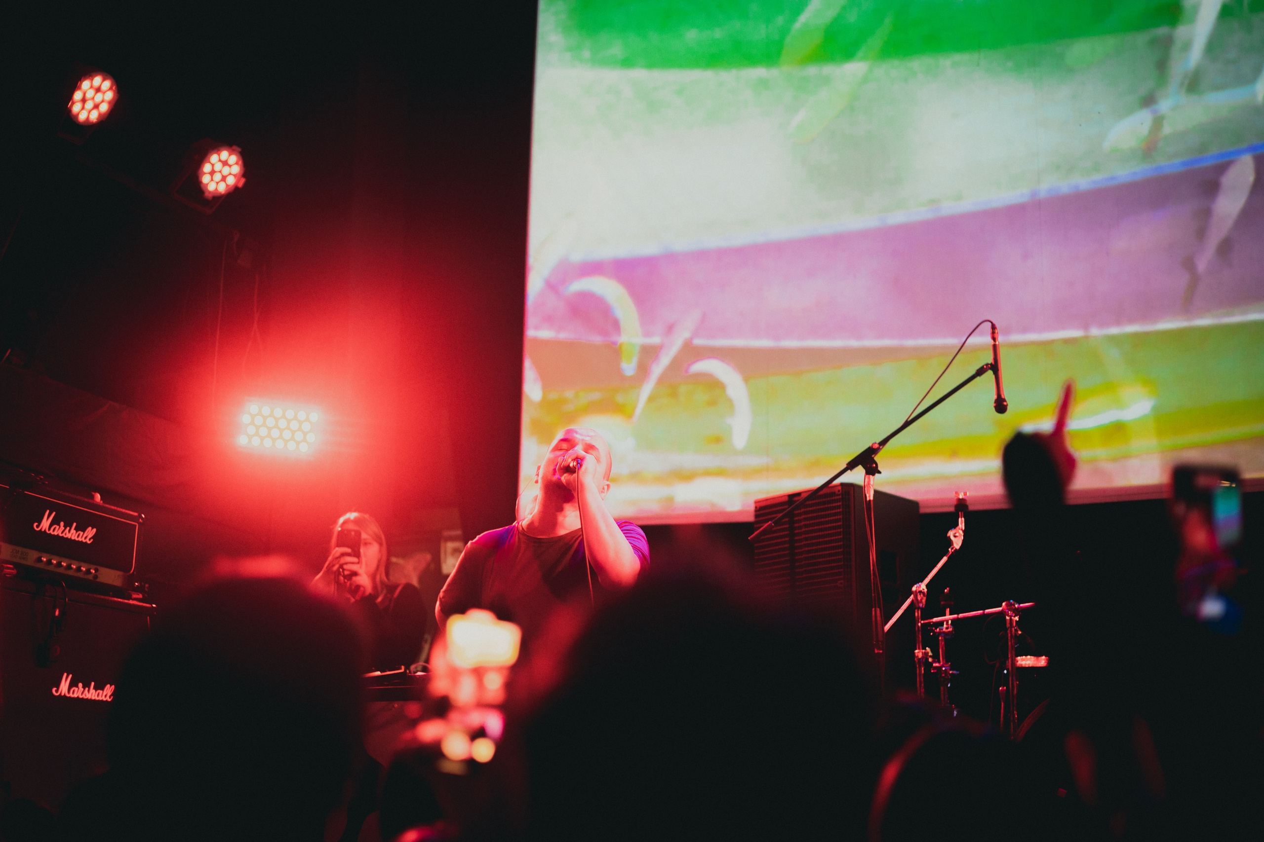 10.01.2025. Анна Мильч