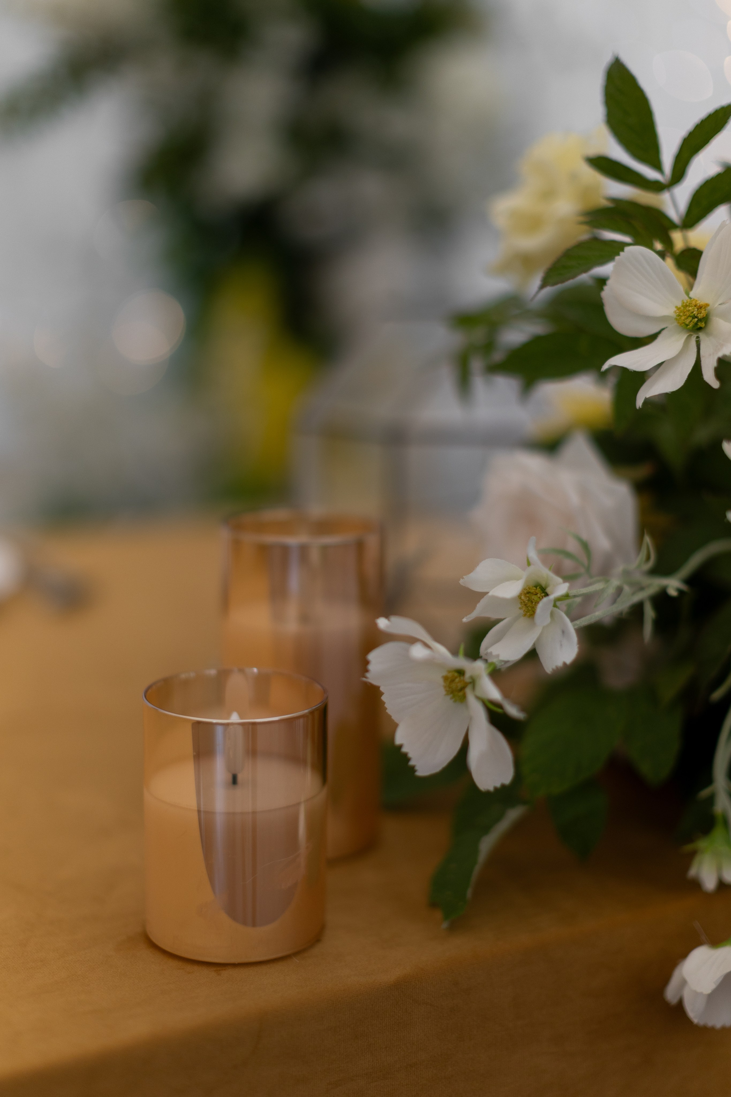 Лесная. Главная