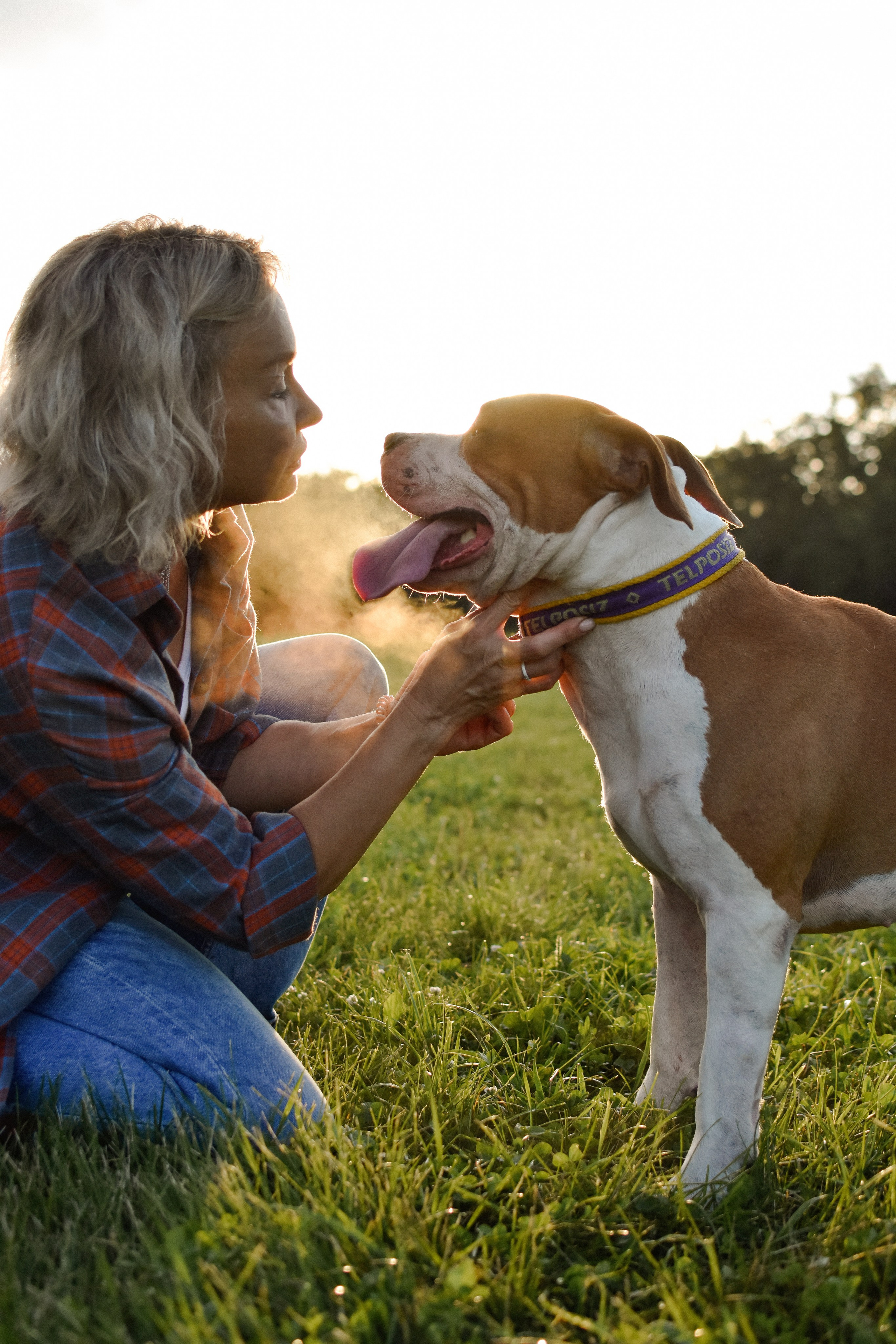 Стив, Стеша и Маша. Фотограф-анималист Ксения Шевцова|Москва