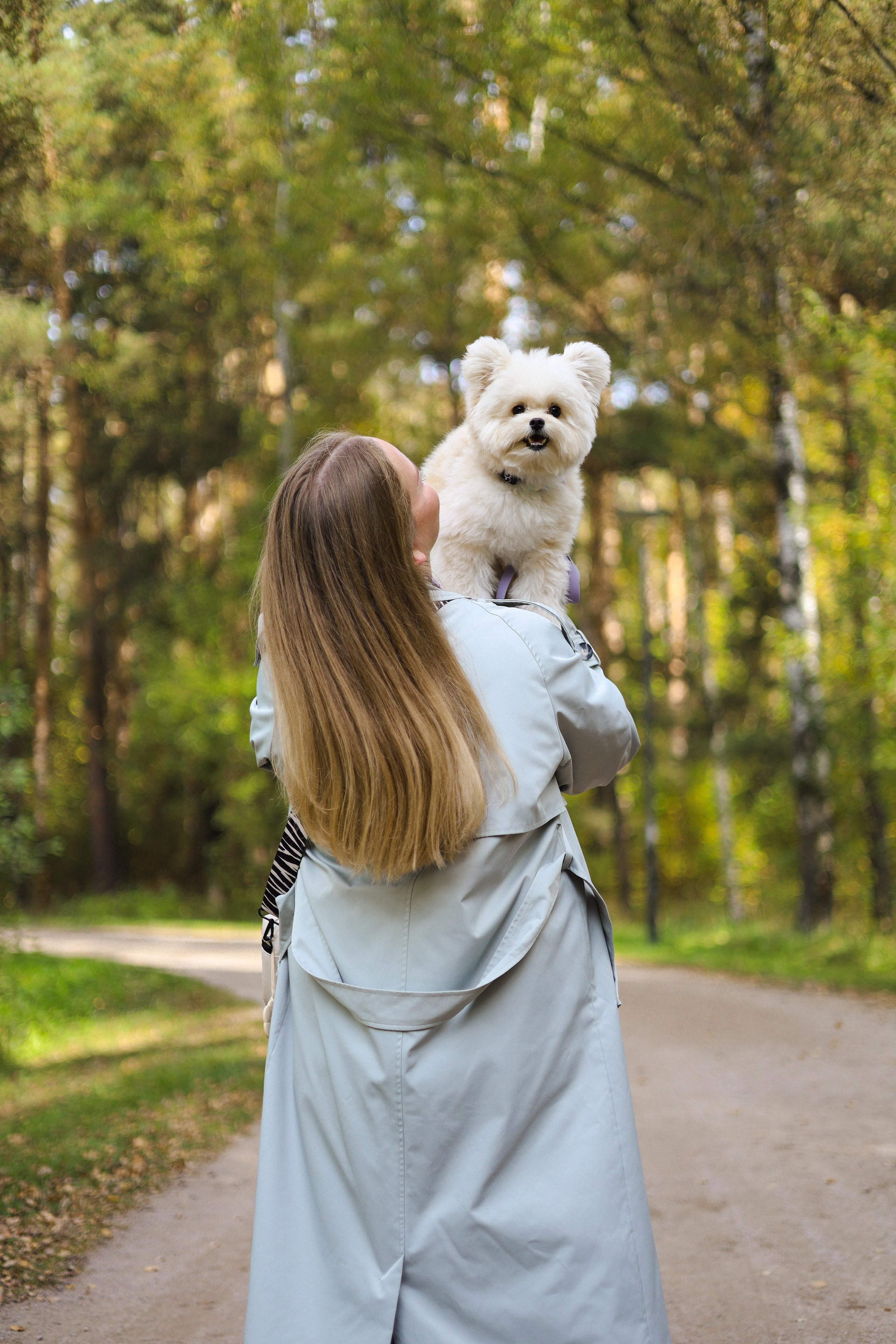 Купер и Надежда. Фотограф-анималист Ксения Шевцова|Москва
