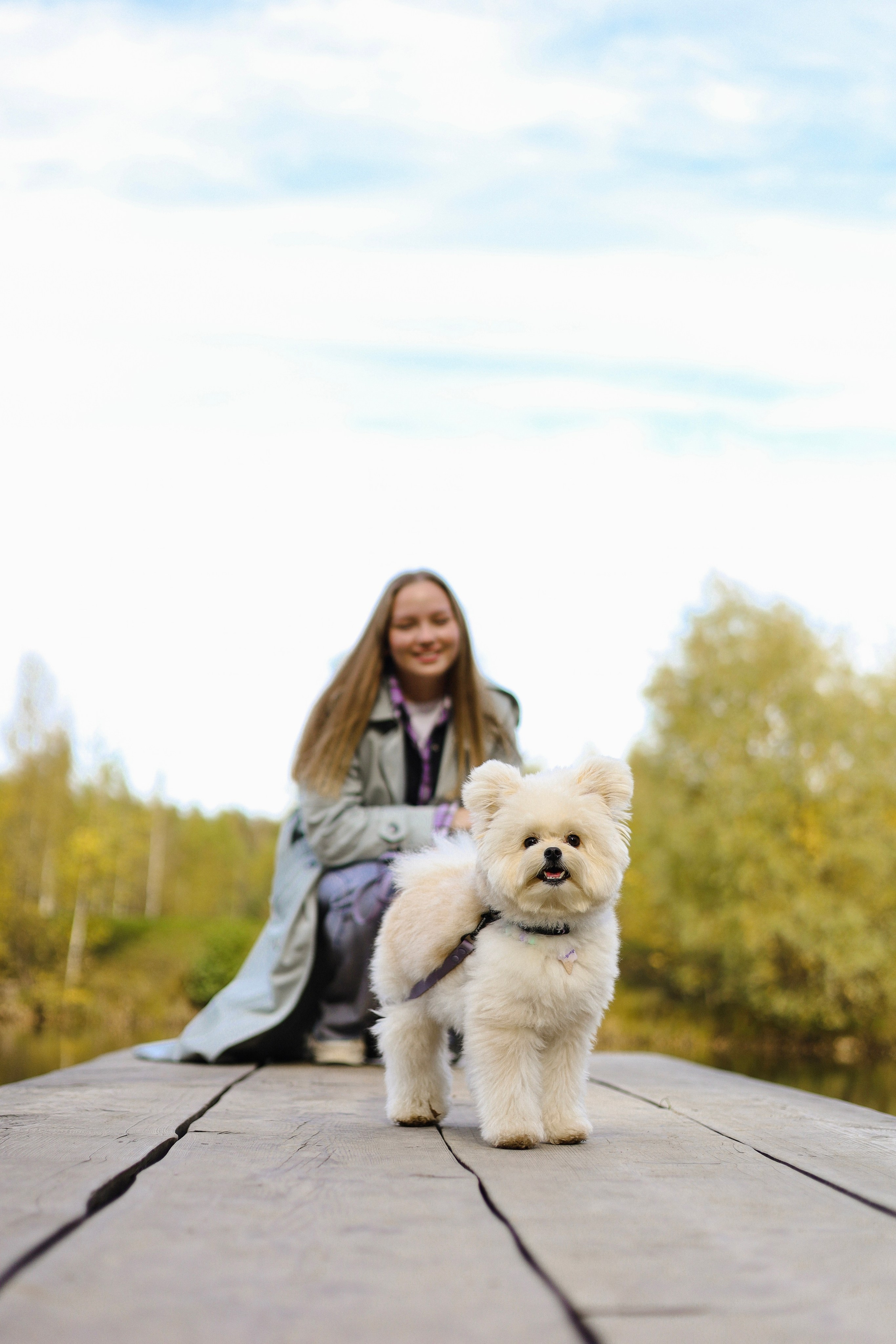 Купер и Надежда. Фотограф-анималист Ксения Шевцова|Москва