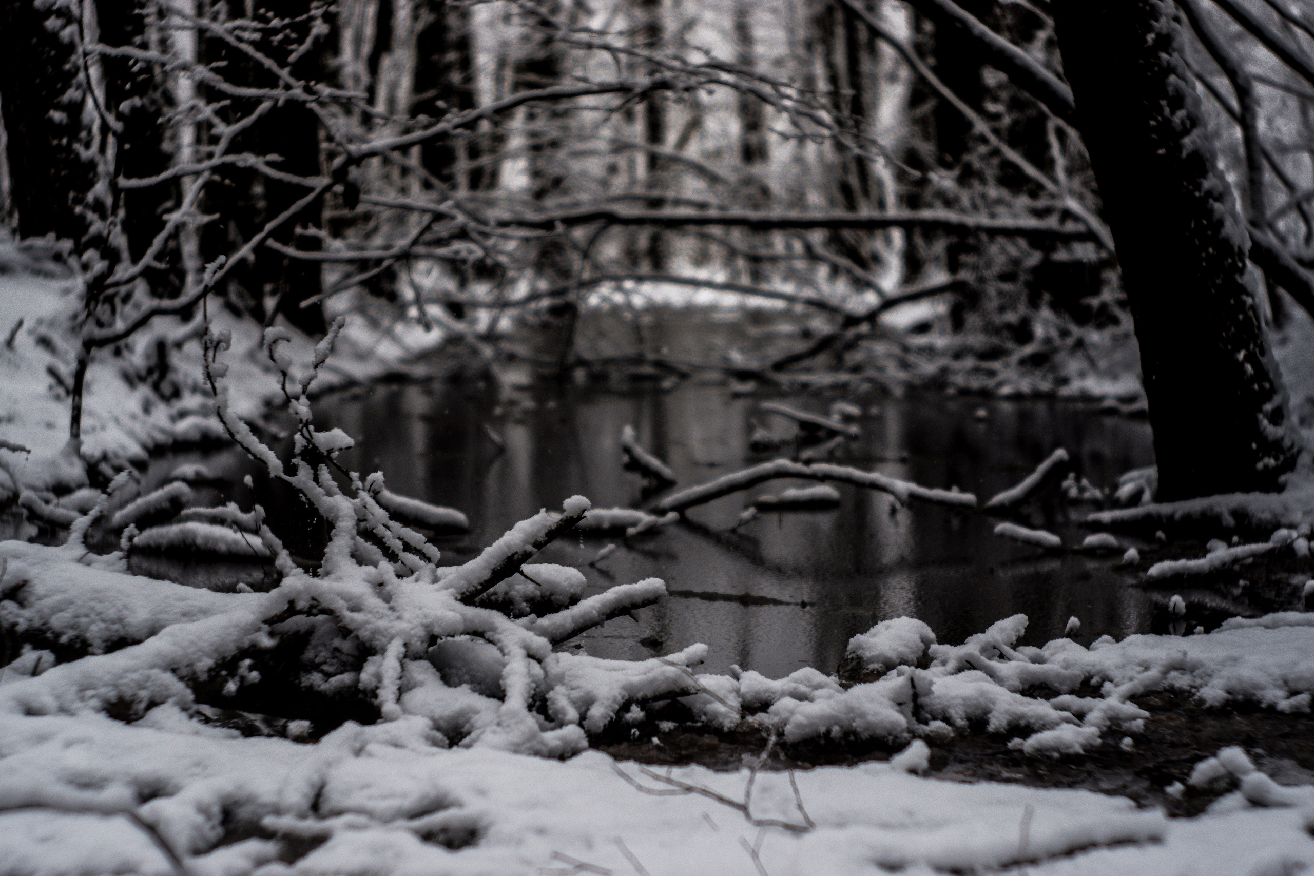 ЧБ  пейзажи (BnW landscape). Фотограф (photographer) Lischinski Vitaliy