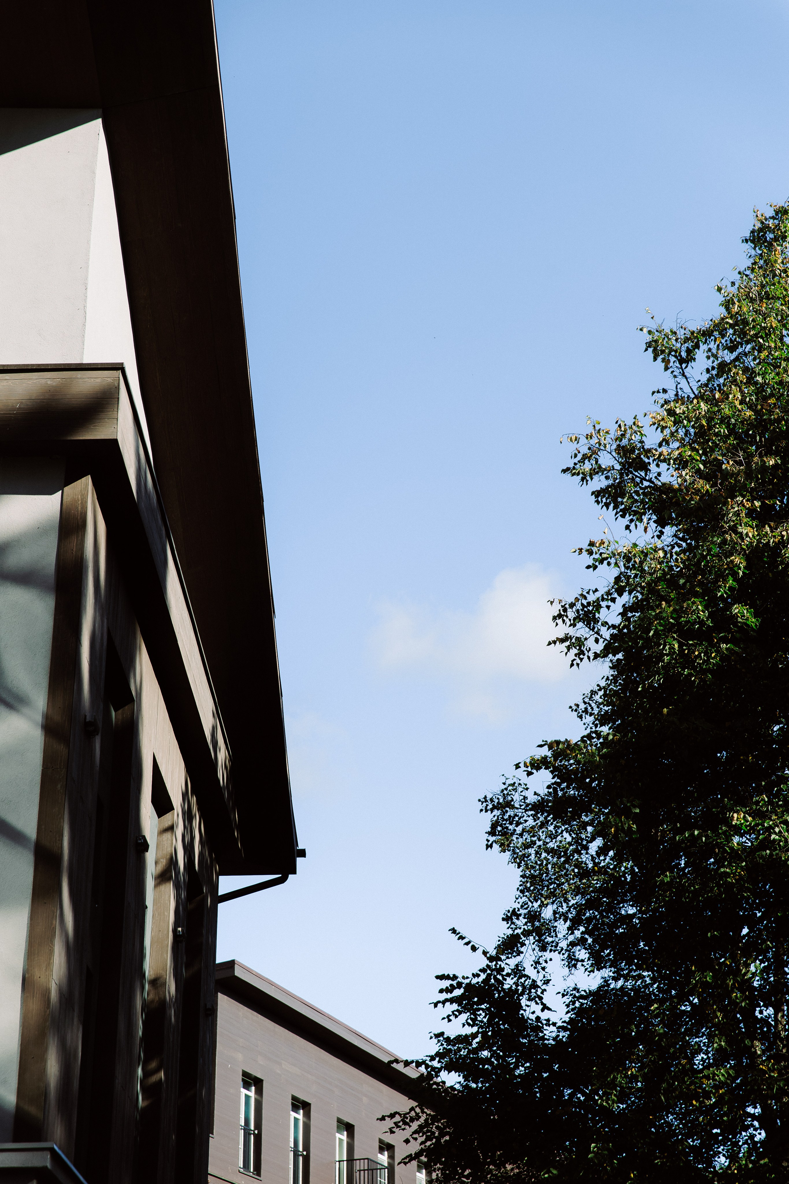 Антонина & Ярослав