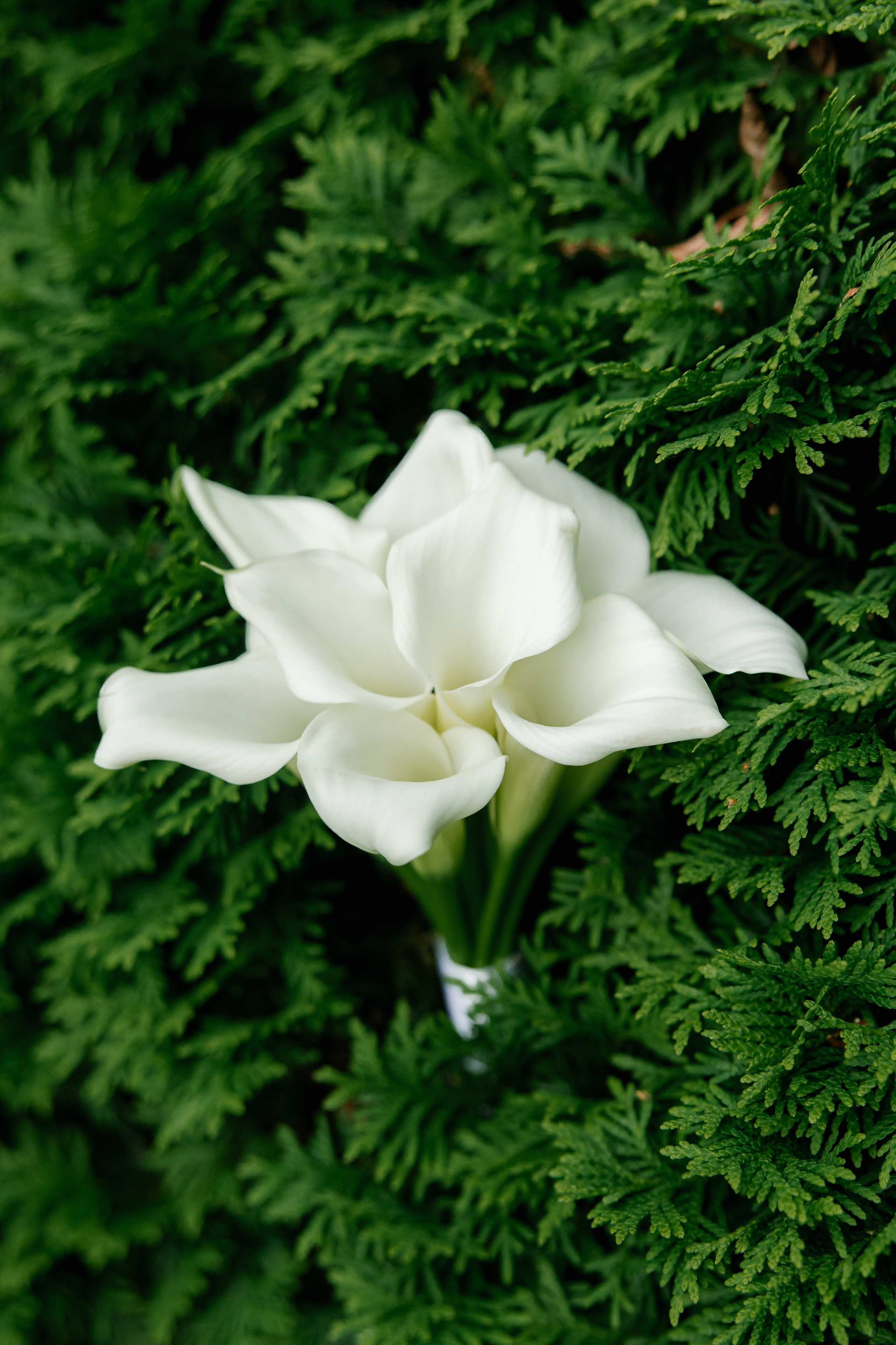 …в каждом взгляде — ты…. Свадебный и женский фотограф в Твери Екатерина Гребенкина