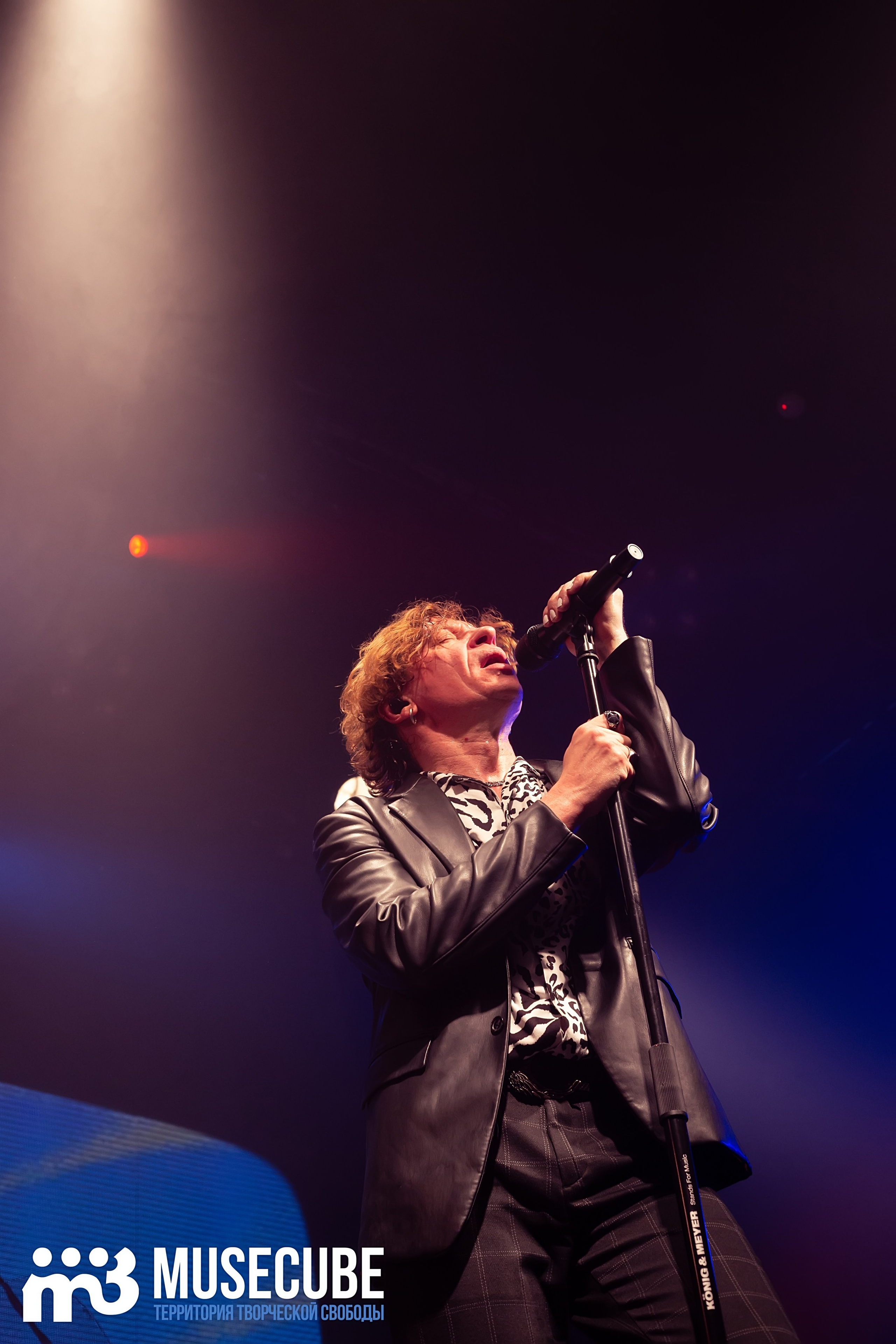 Фотосъемка концерта Найк Борзов Космонавт СПБ. Портретные фотосессии, контент-съемки, репортаж