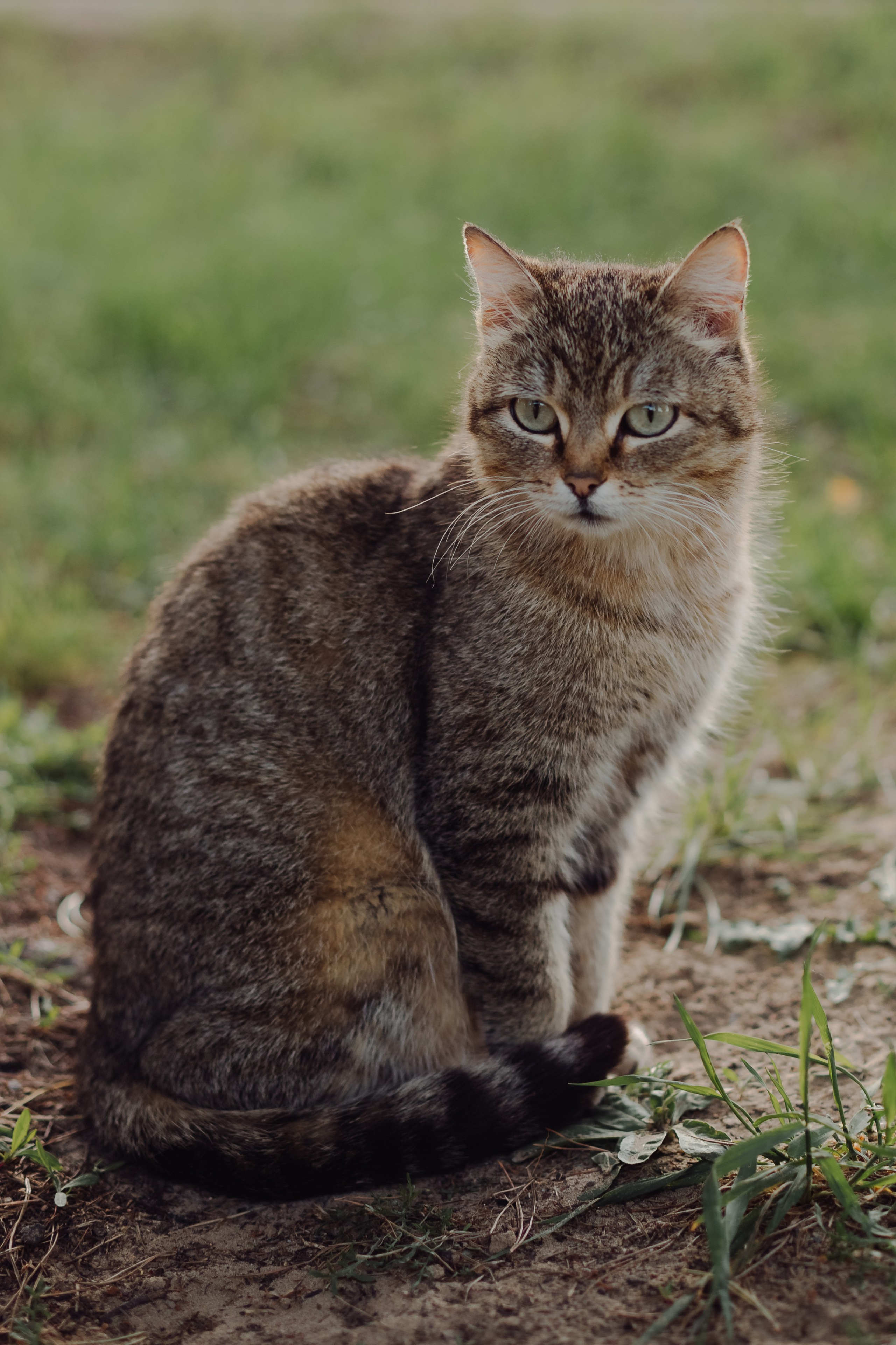 Майские прогулки. Фотограф в Томске Евгения Гуляева