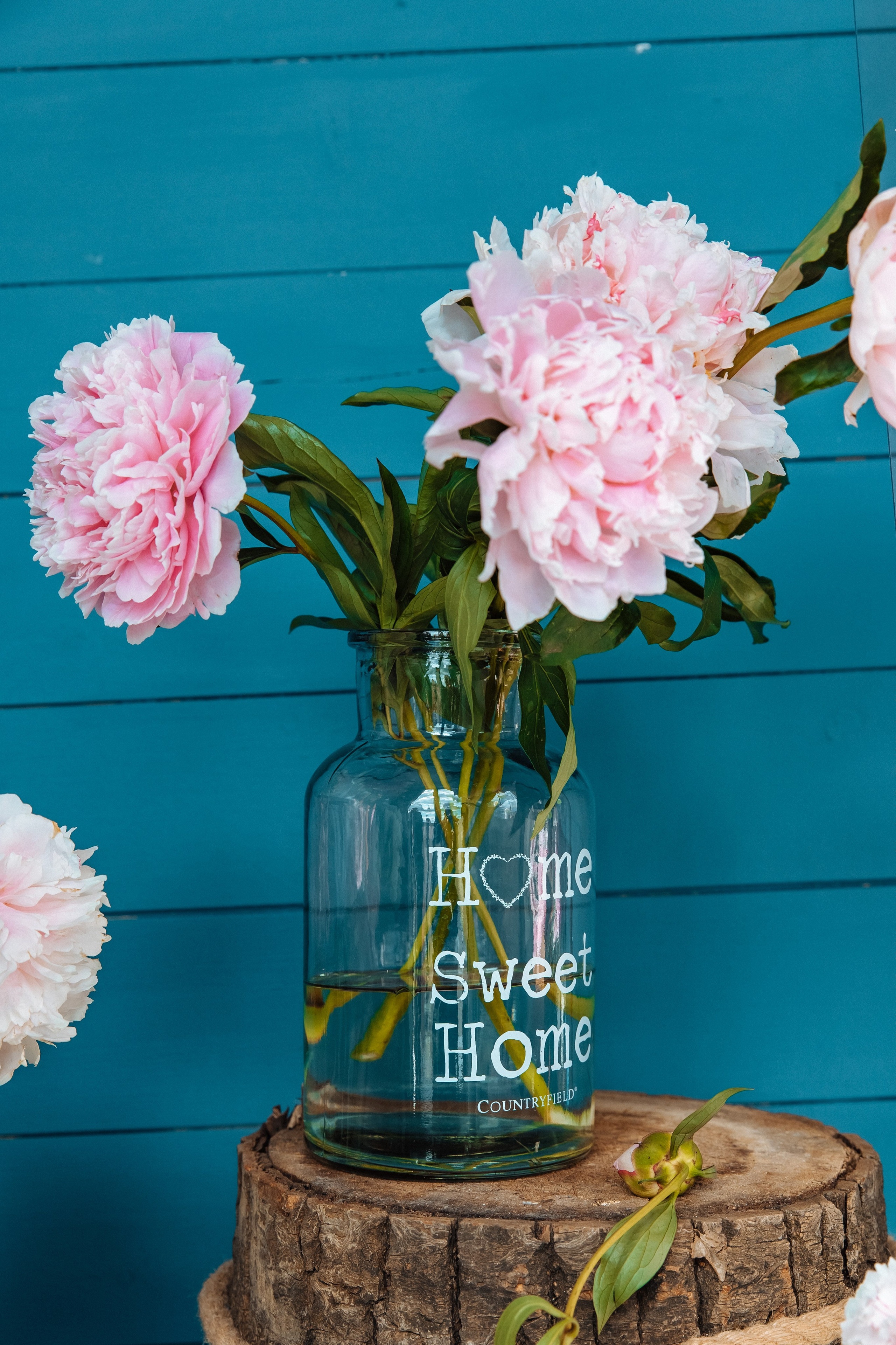 Danil & Ekaterina. Romanovs | Свадебный фотограф и видеограф Чебоксары Казань Москва