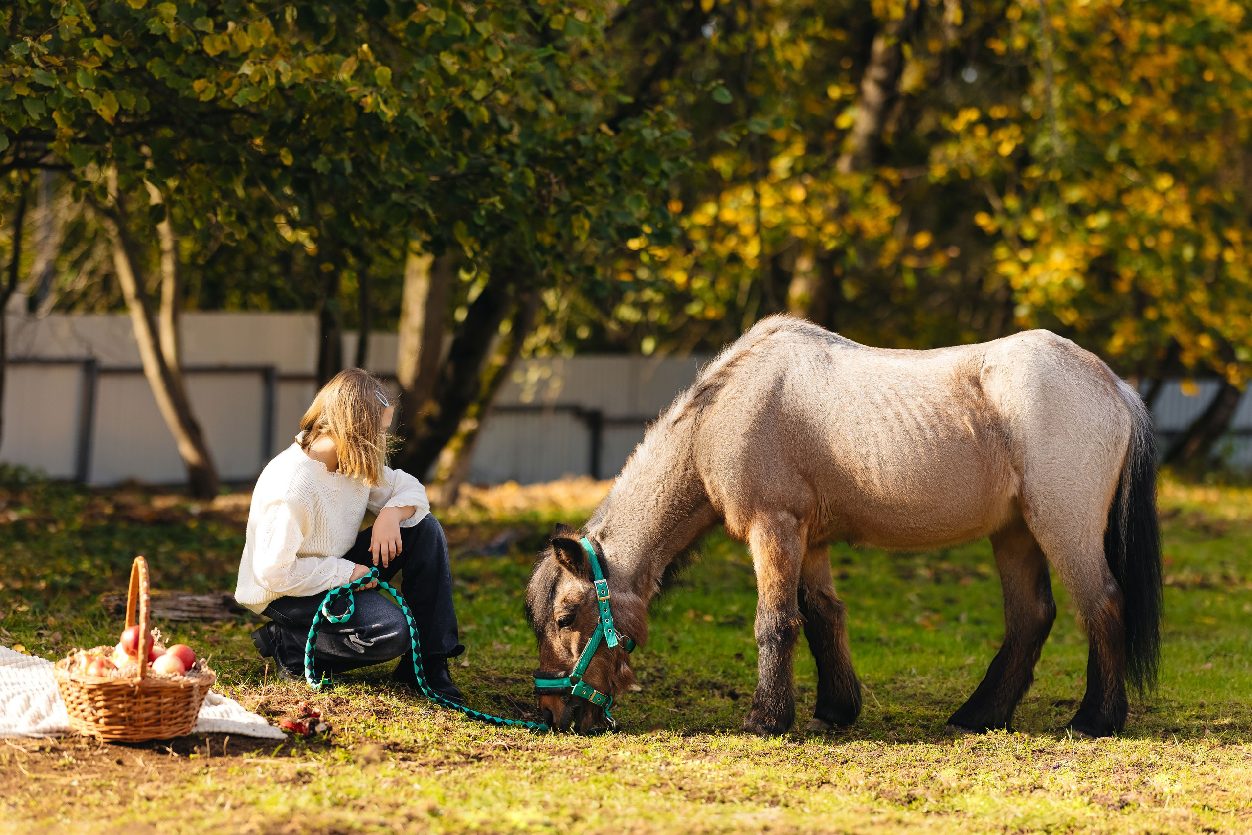 2024.10.02 Илья и лошадка. Ирина Бешляга. Фотограф в Москве и по всей России