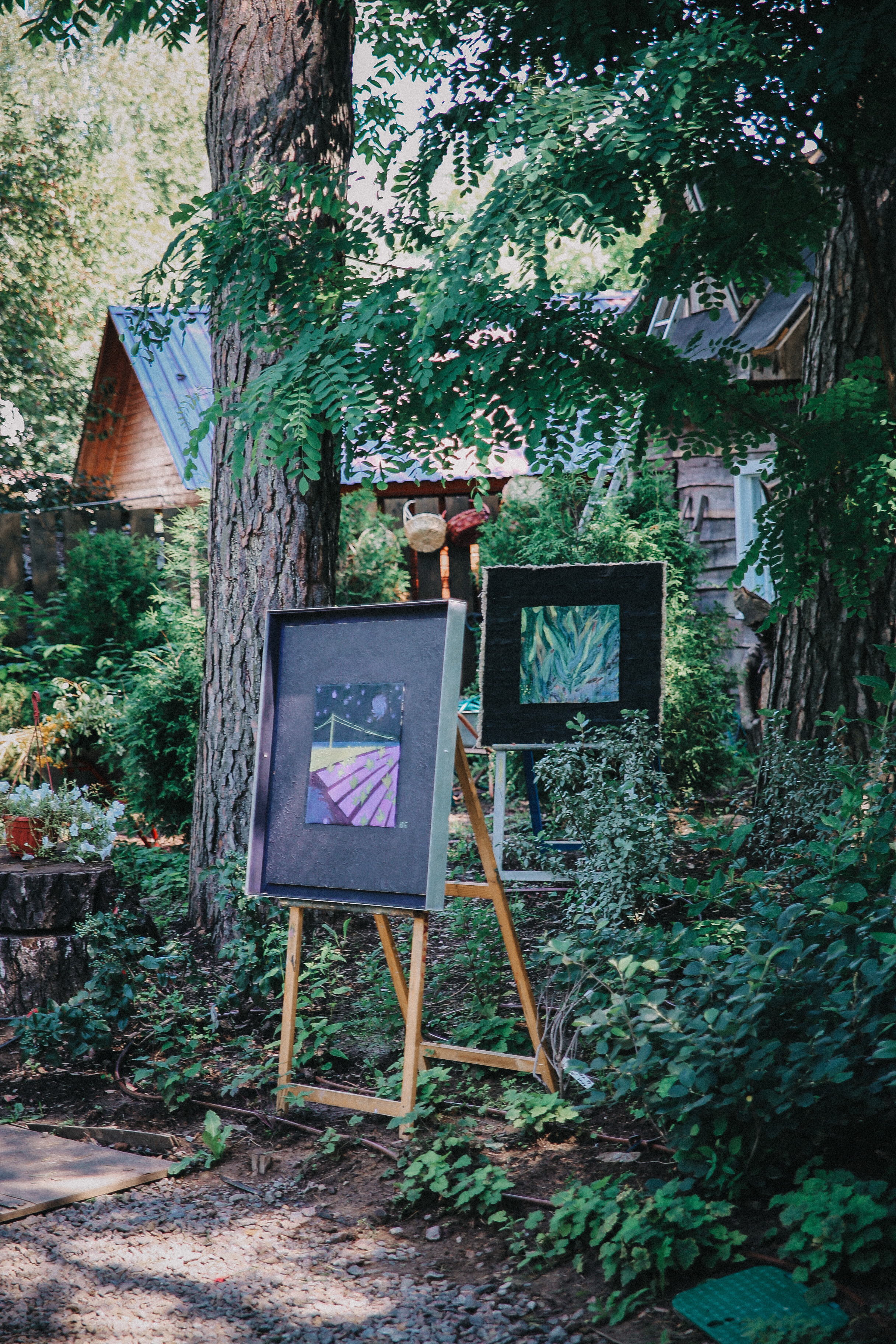 Сад Ракицкого. Фотограф в Серпухове и Тарусе Ксения Царёва