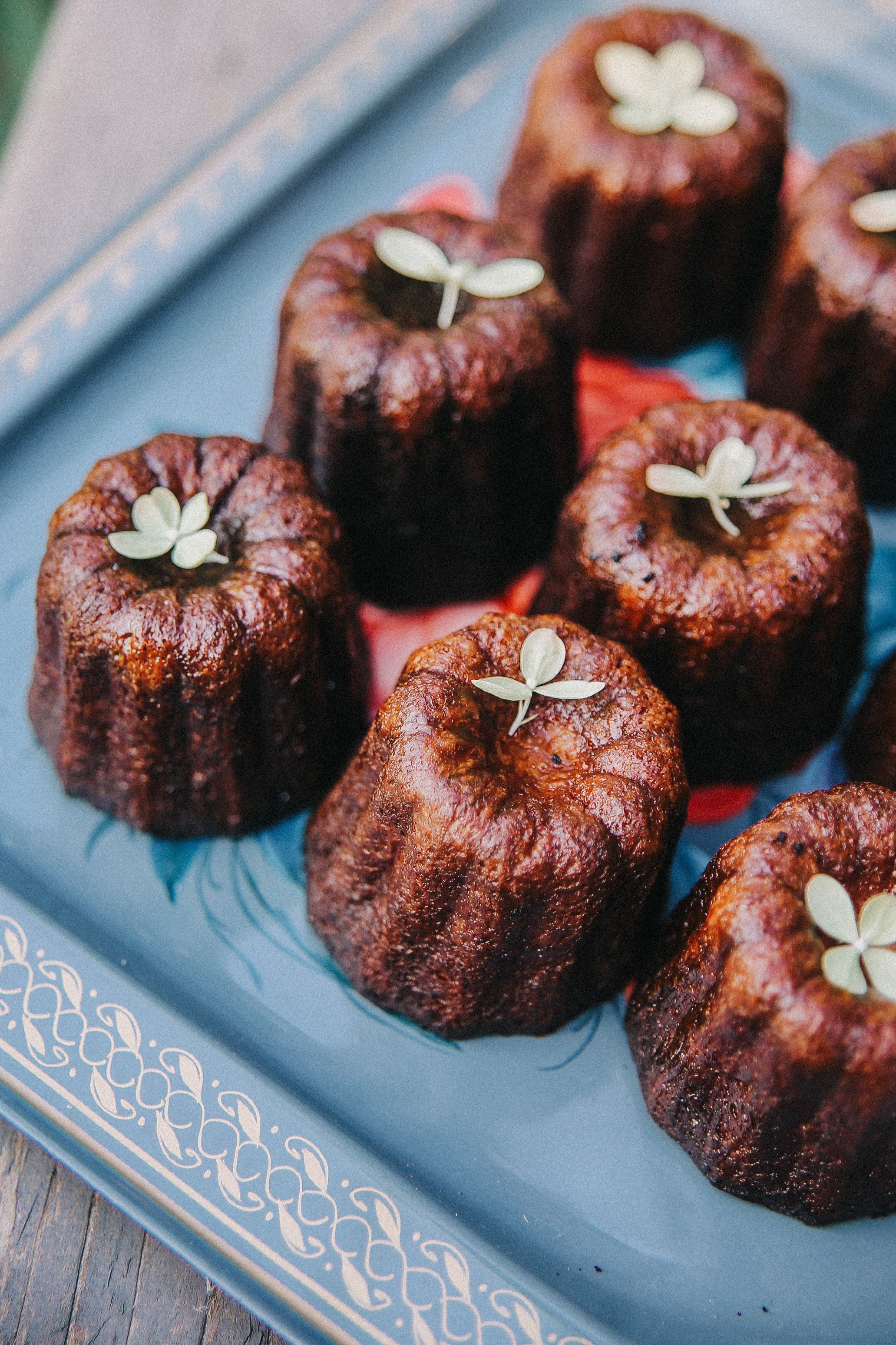 Сад Ракицкого. Фотограф в Серпухове и Тарусе Ксения Царёва