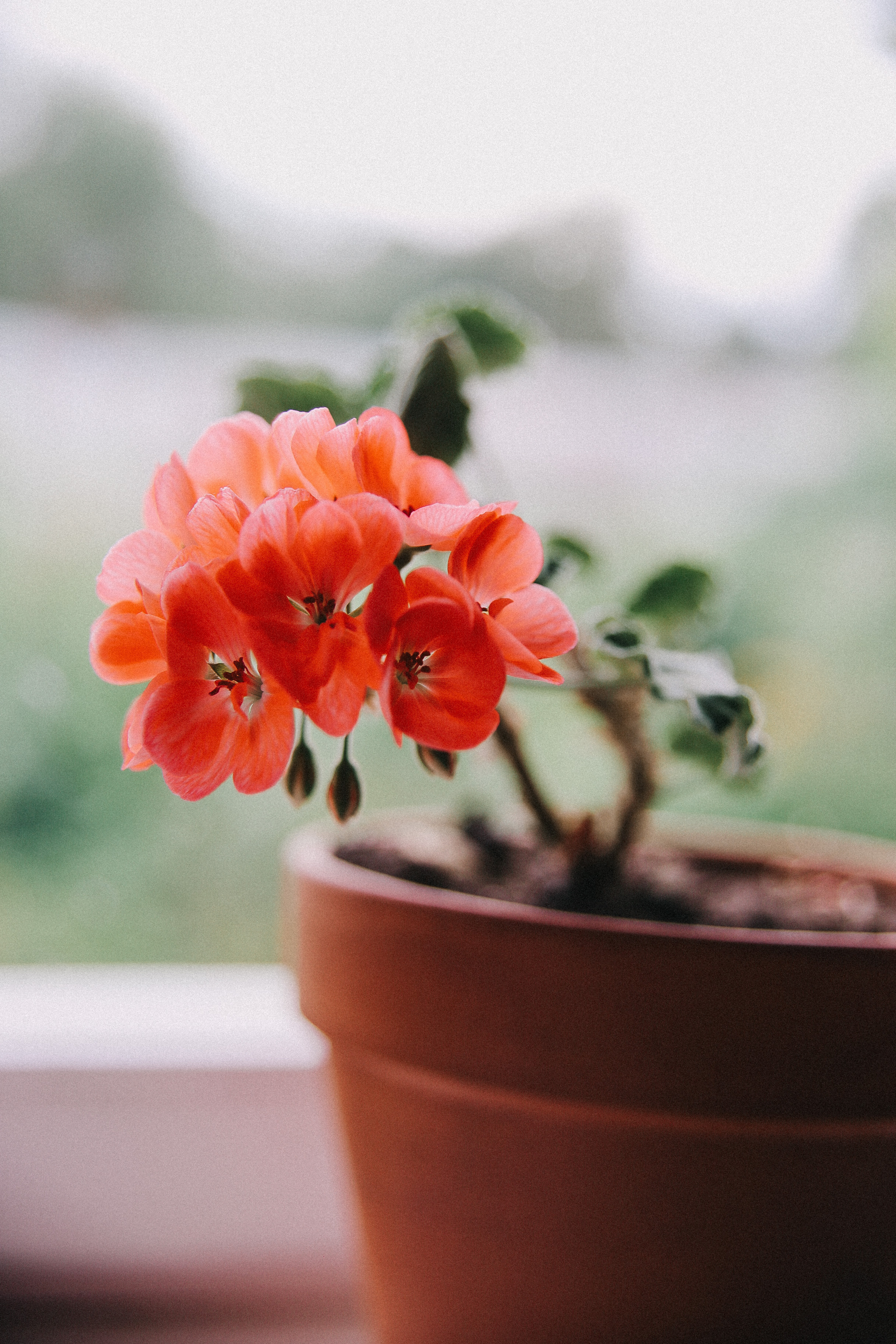 Дачные истории. Фотограф в Серпухове и Тарусе Ксения Царёва