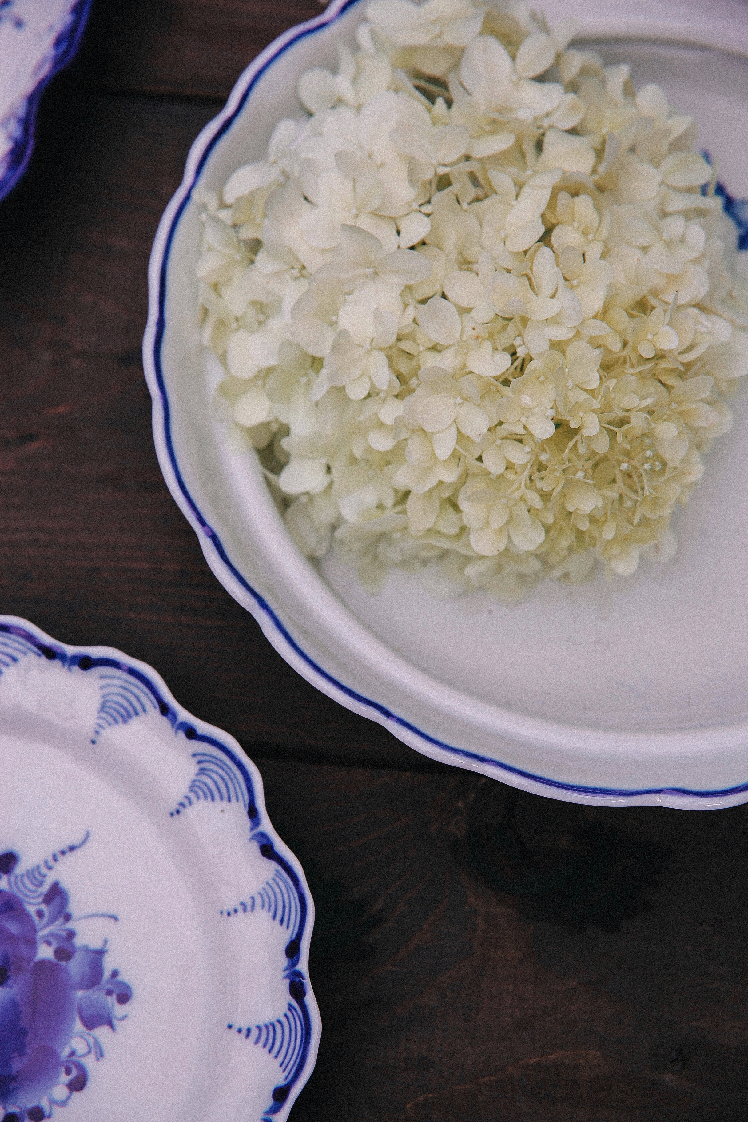 Сад Ракицкого. Фотограф в Серпухове и Тарусе Ксения Царёва