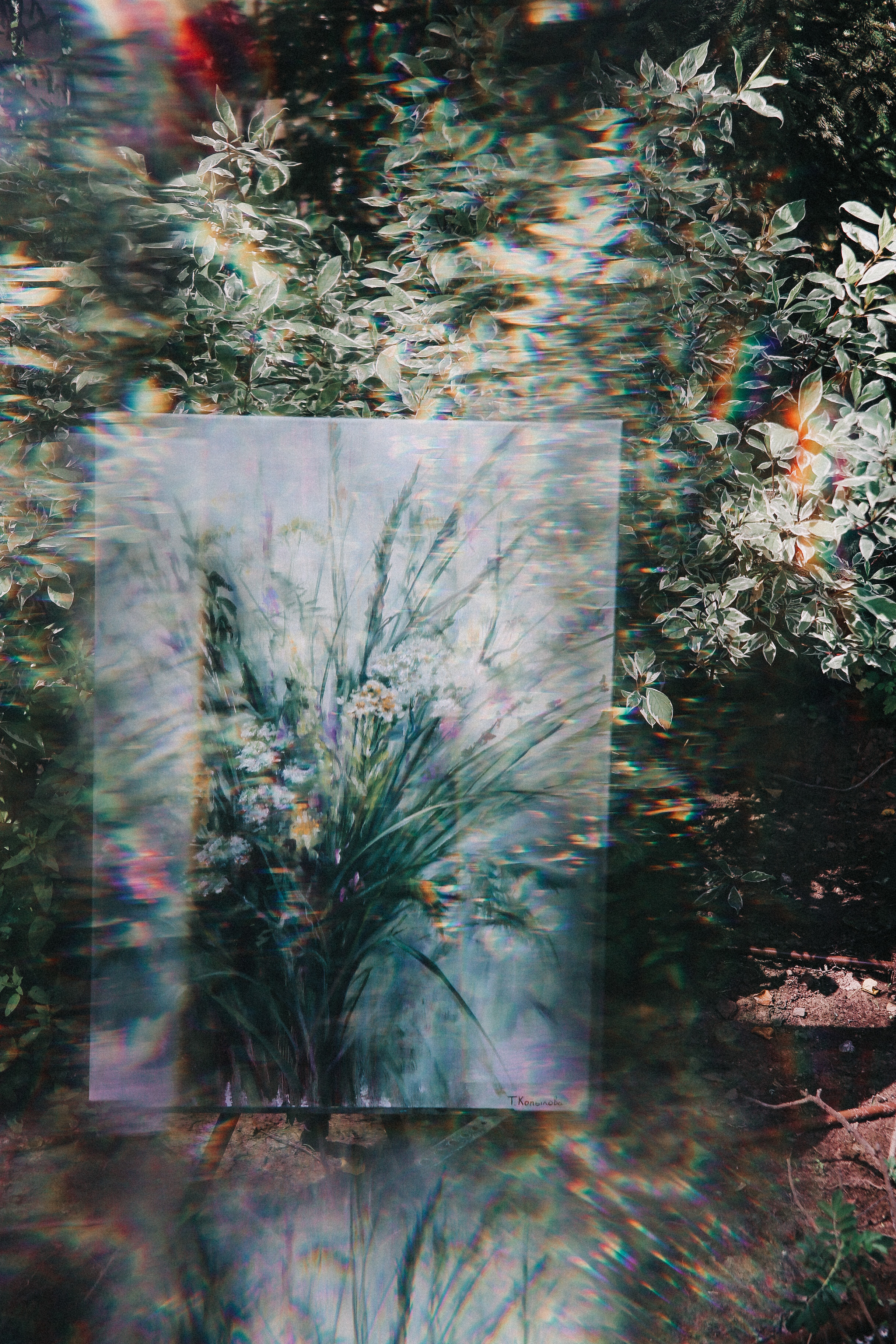 Сад Ракицкого. Фотограф в Серпухове и Тарусе Ксения Царёва