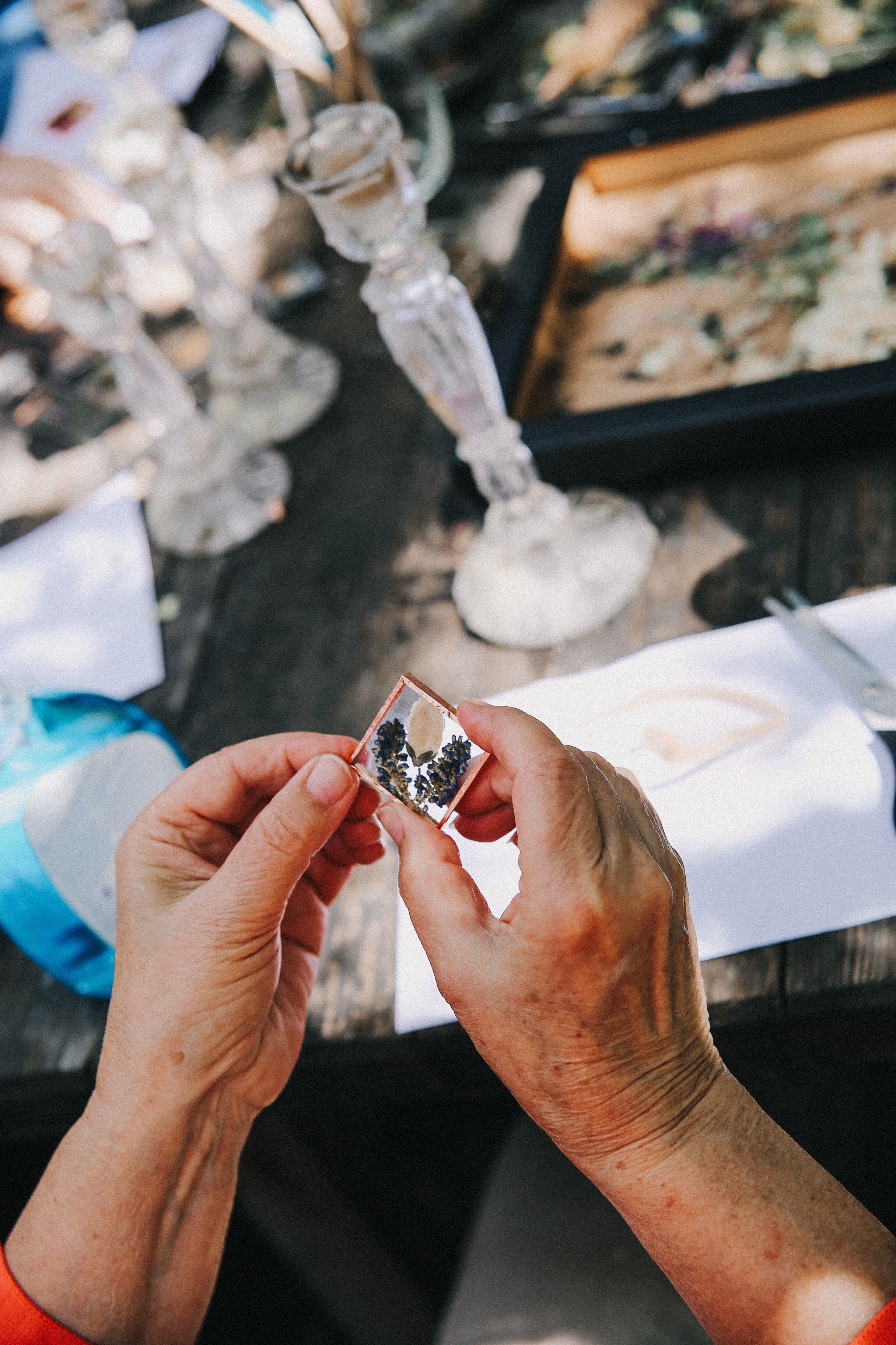 Сад Ракицкого. Фотограф в Серпухове и Тарусе Ксения Царёва