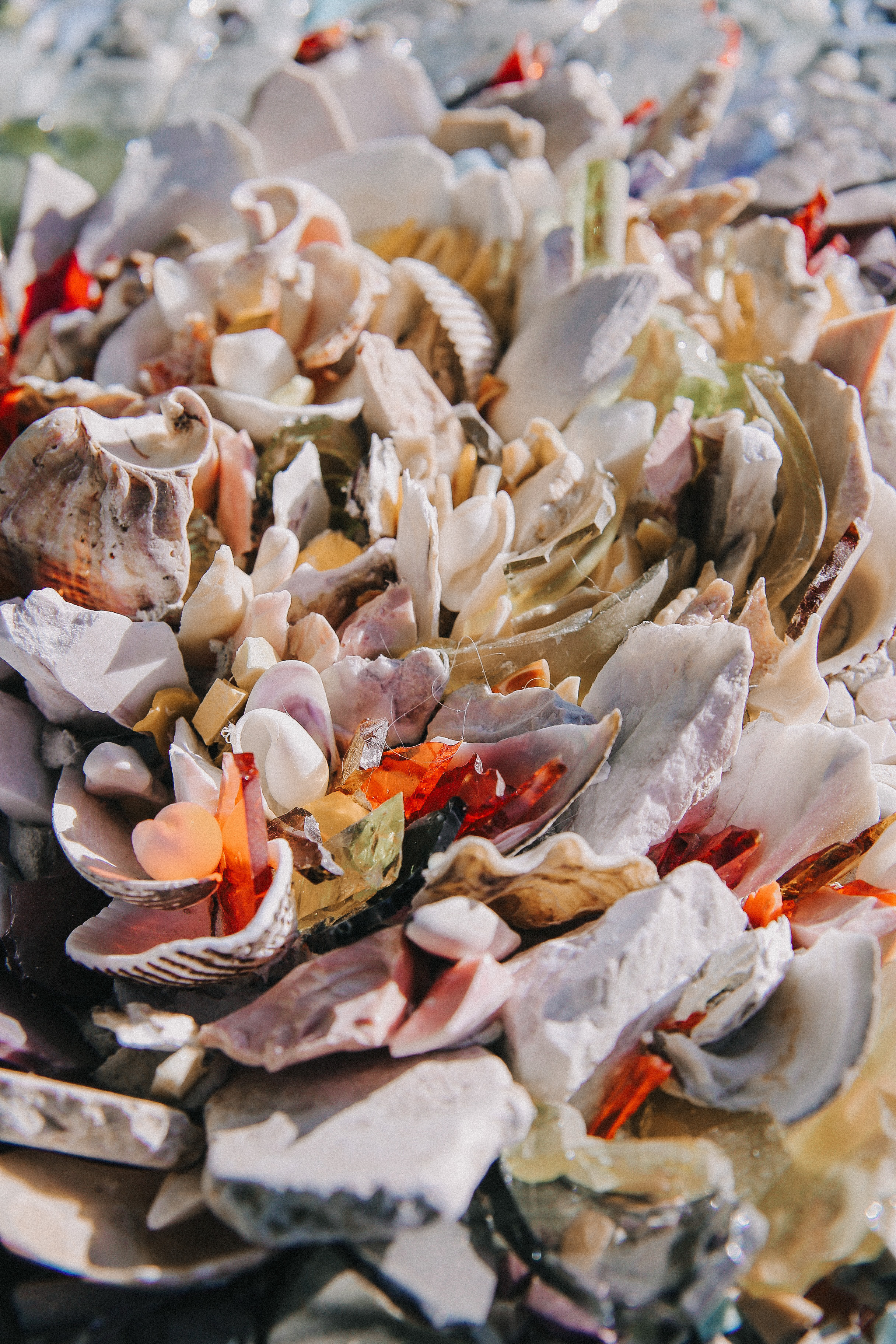 Сад Ракицкого. Фотограф в Серпухове и Тарусе Ксения Царёва