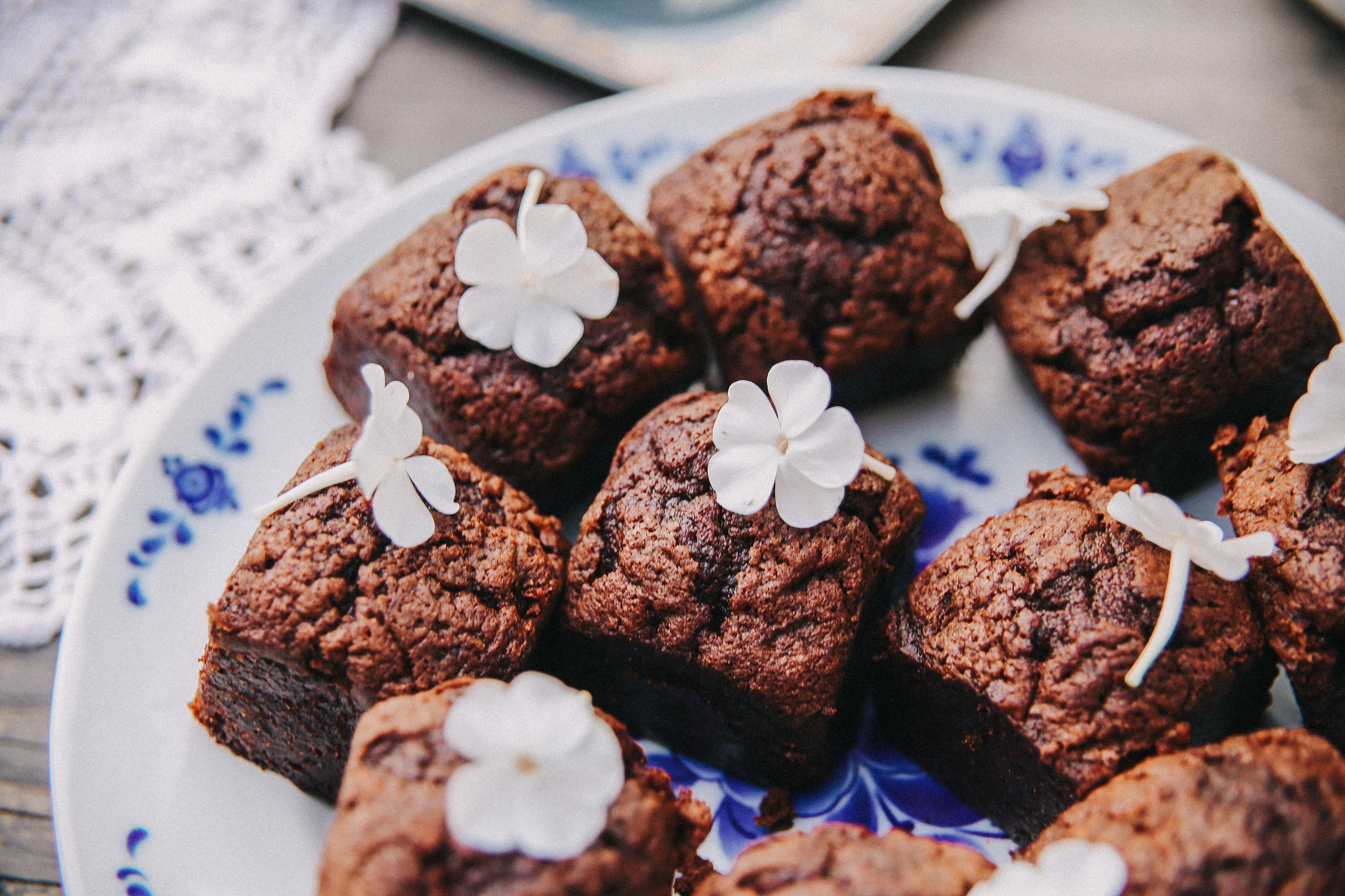 Сад Ракицкого. Фотограф в Серпухове и Тарусе Ксения Царёва