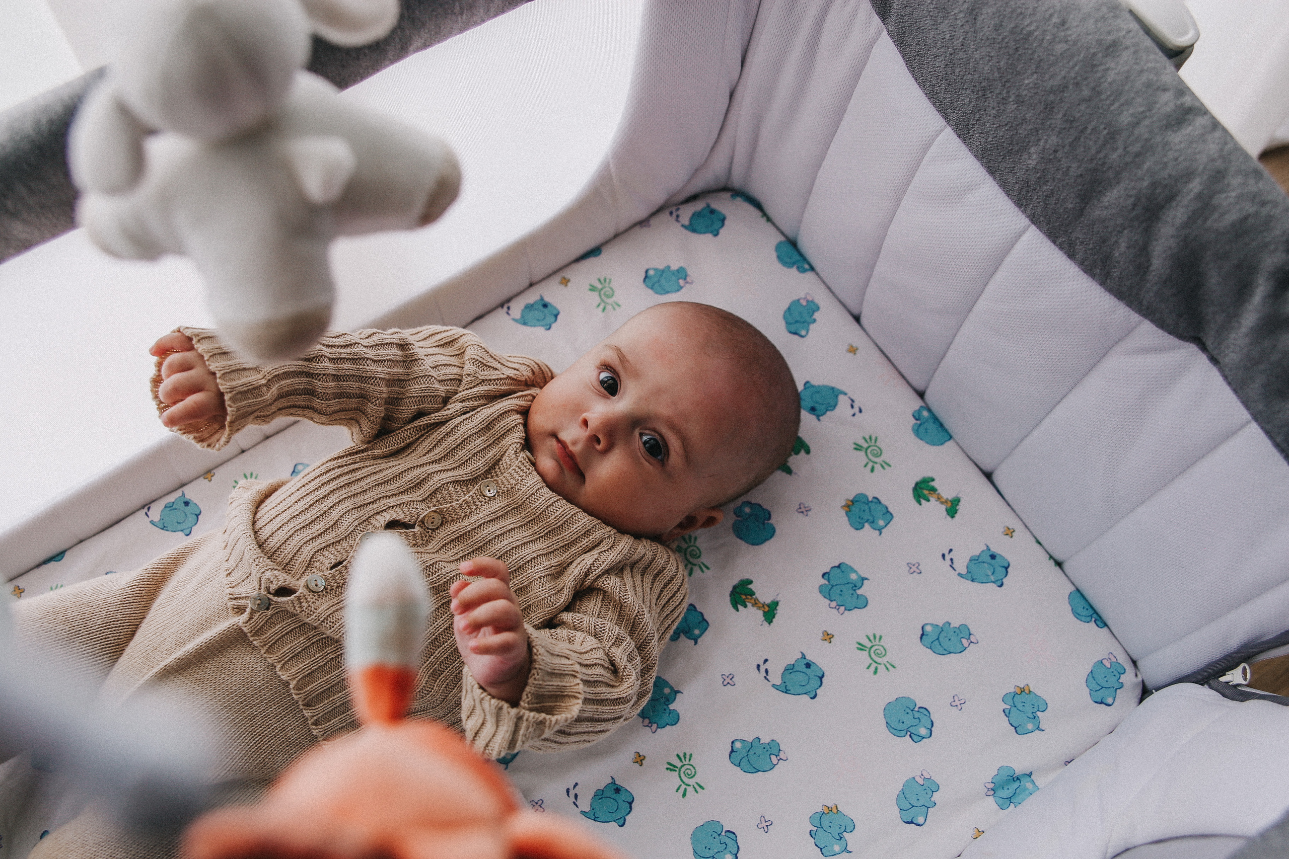 Домашний life-style. Фотограф в Серпухове и Тарусе Ксения Царёва