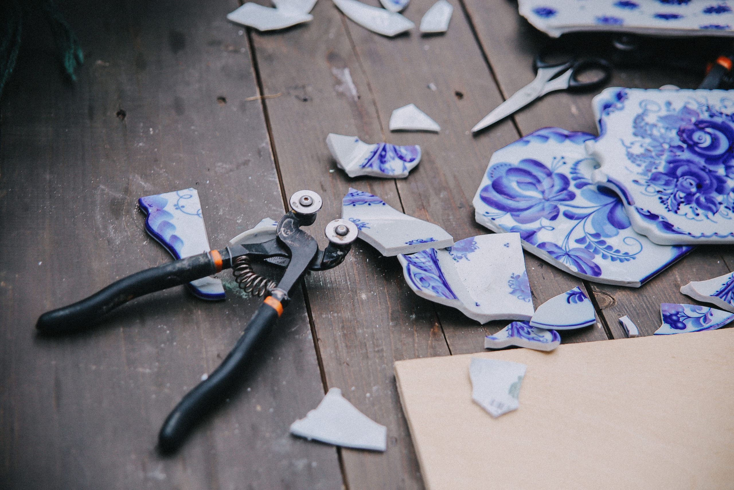 Сад Ракицкого. Фотограф в Серпухове и Тарусе Ксения Царёва