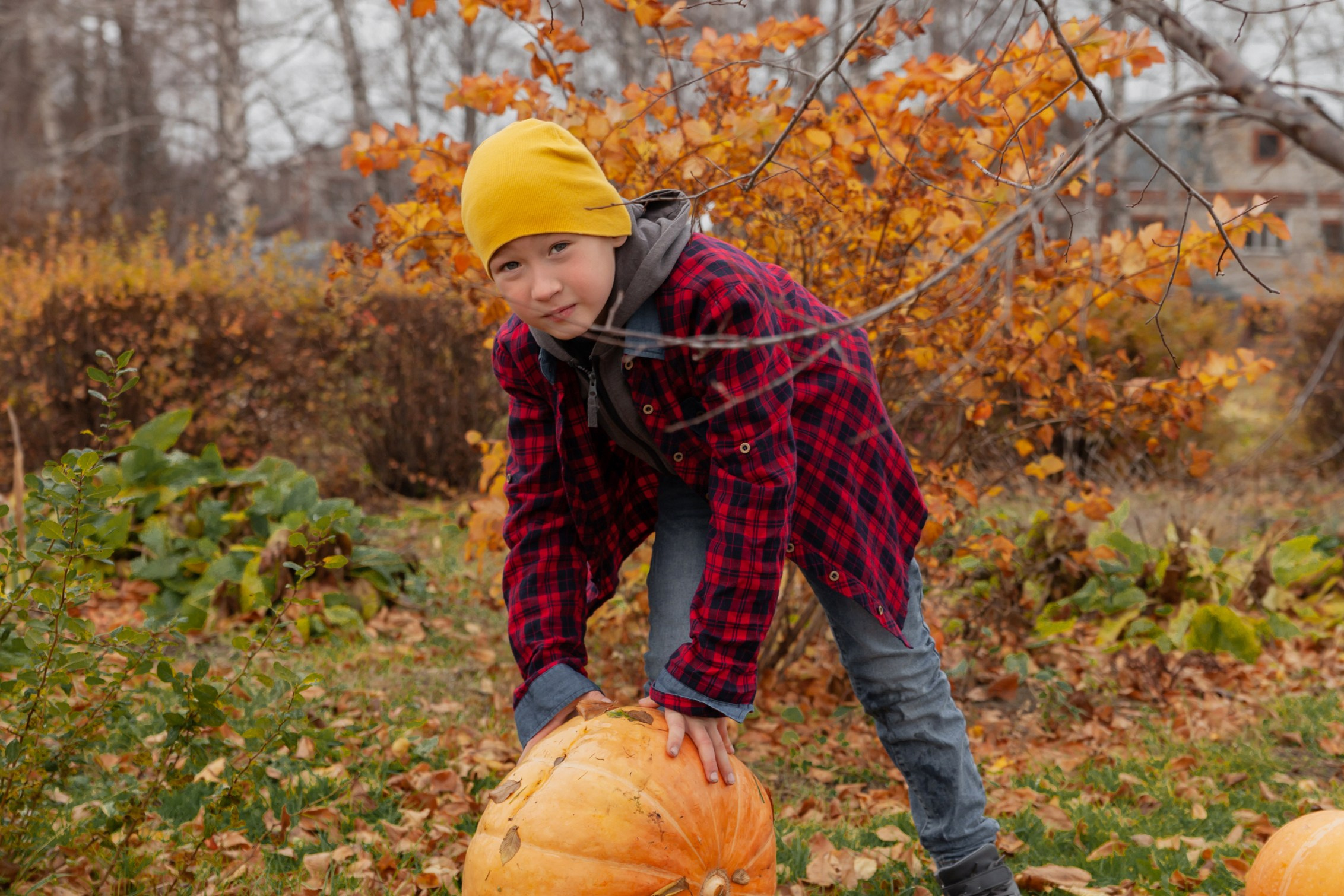 Осень. Детский и семейный фотограф в Бердске и Новосибирске Дарья Гребнева