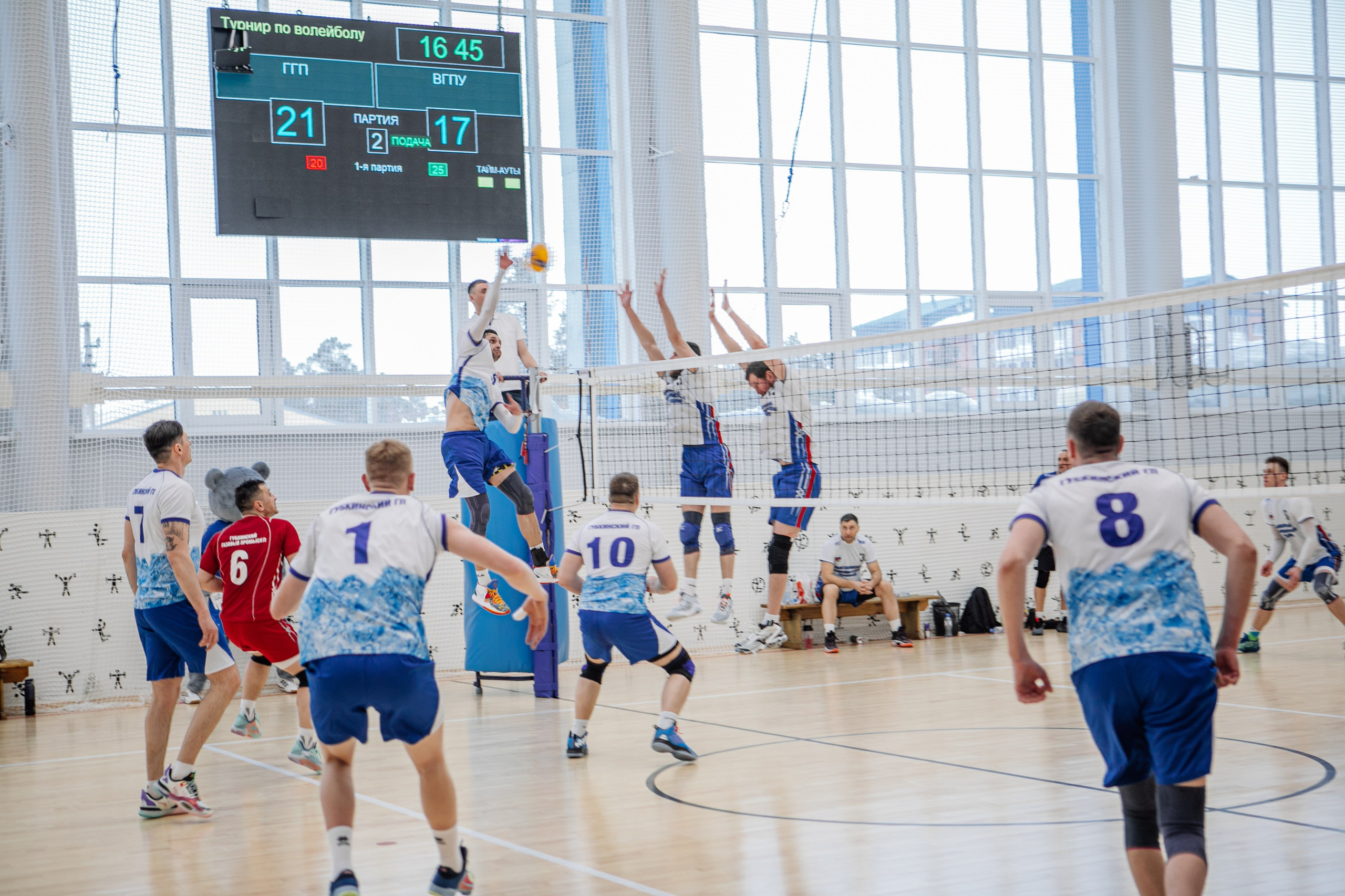 Волейбол. Фотограф Губкинского