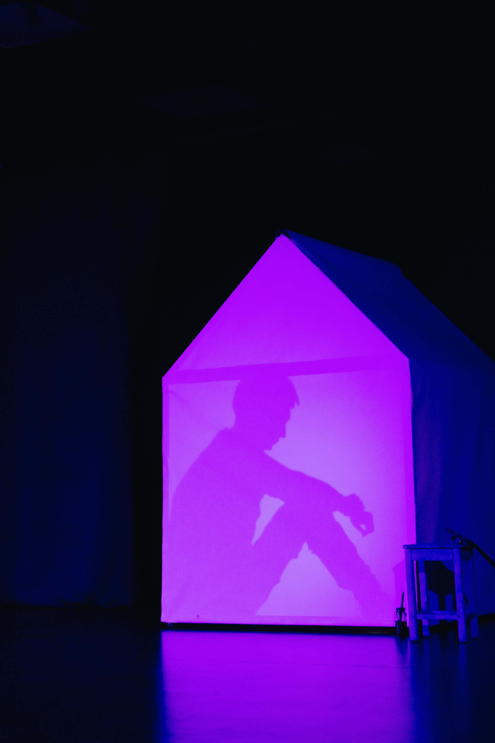 «Здесь был Ёжик» Камерный театр «Zart House» /СПБ. Фотограф событий Злобин Дмитрий