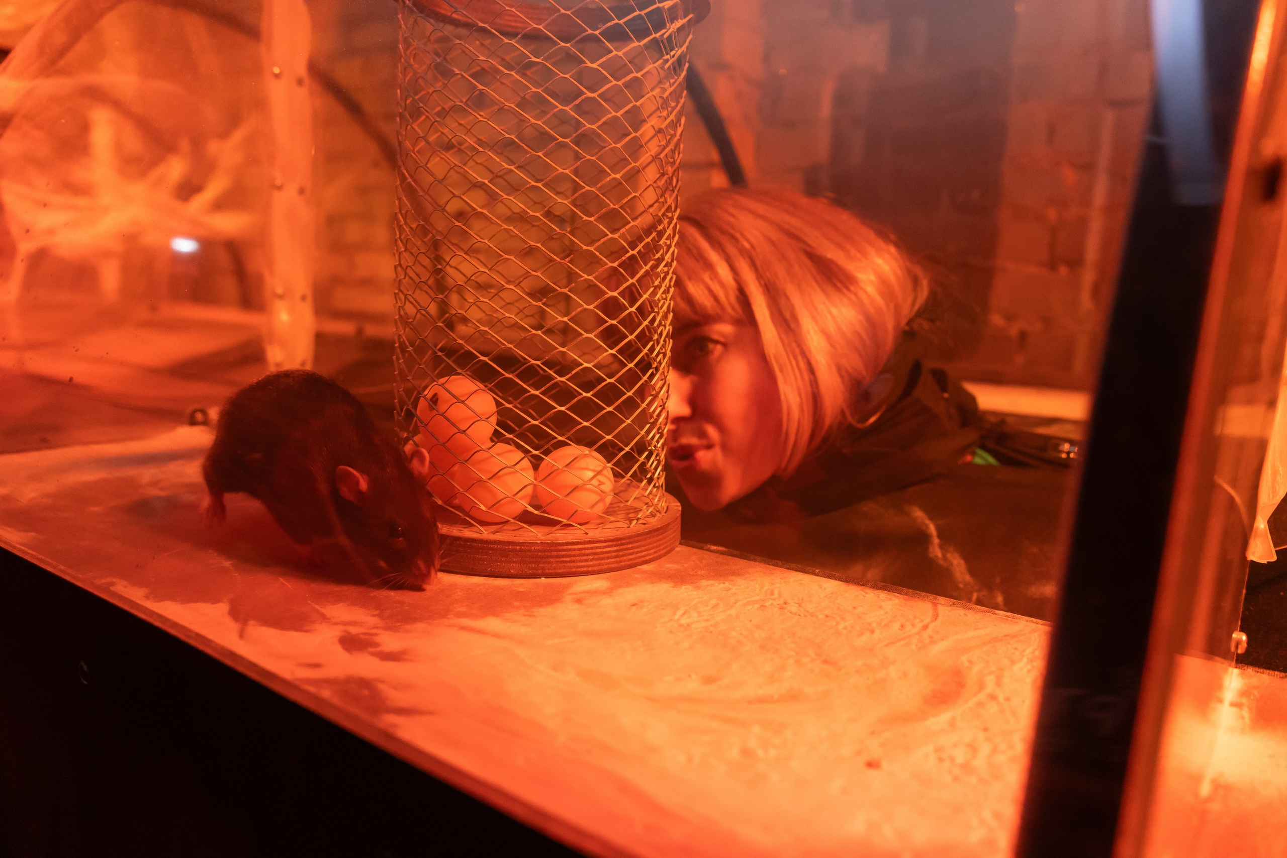 Квест Форт Классик. Фотограф в Новосибирске Екатерина Васильева