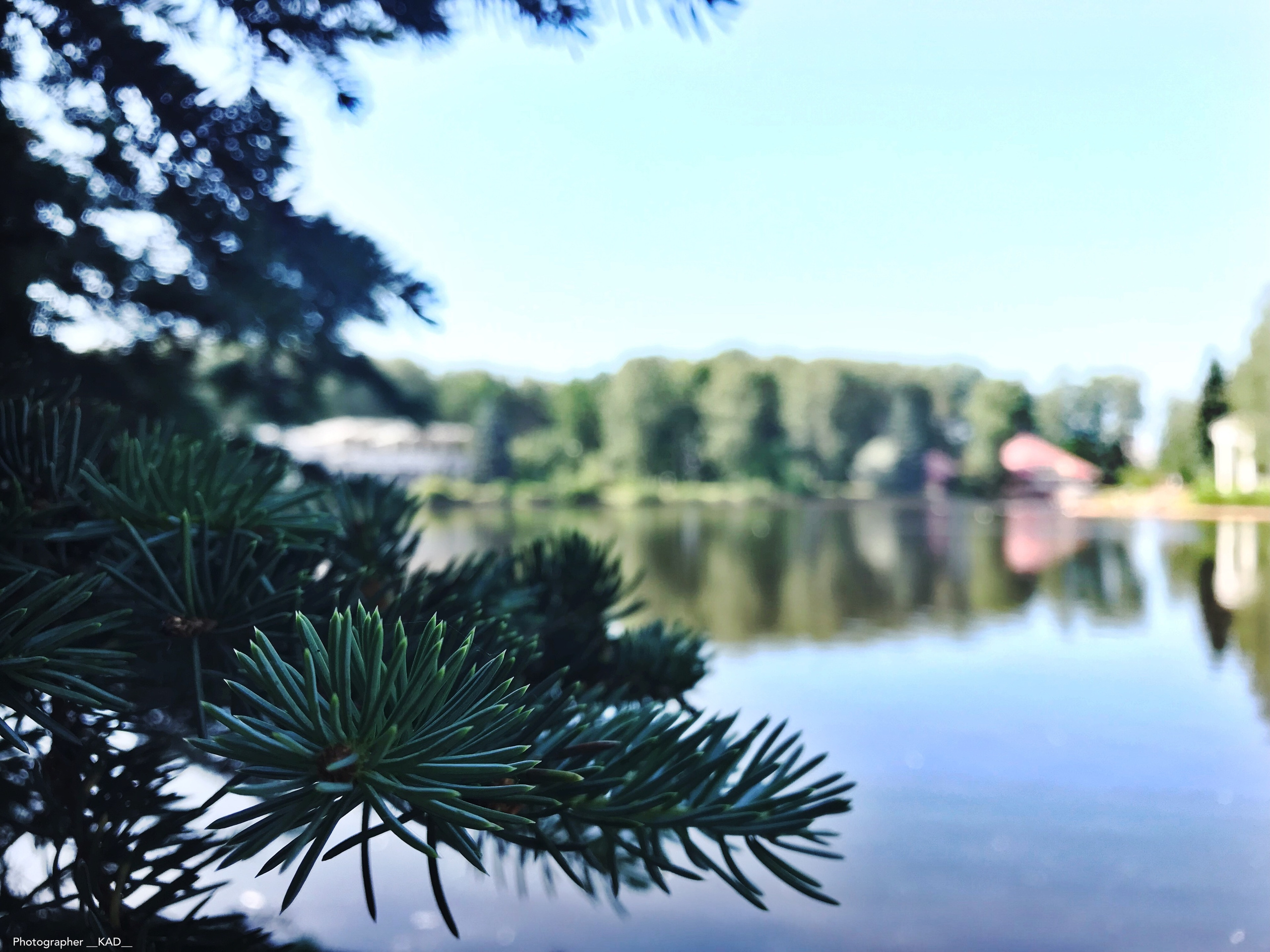 Макросъемка. Photographer K.A.D