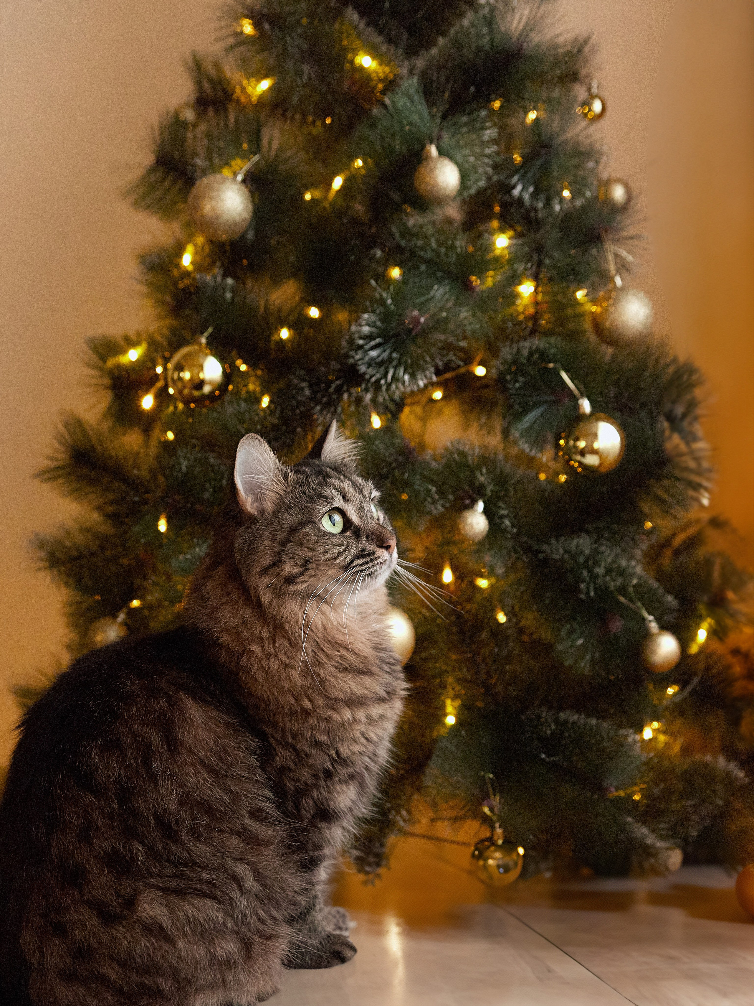 Предметная съемка товаров для дома в Ростове-на-Дону. Предметный и бизнес фотограф в Ростове-на-Дону Александра Степанова