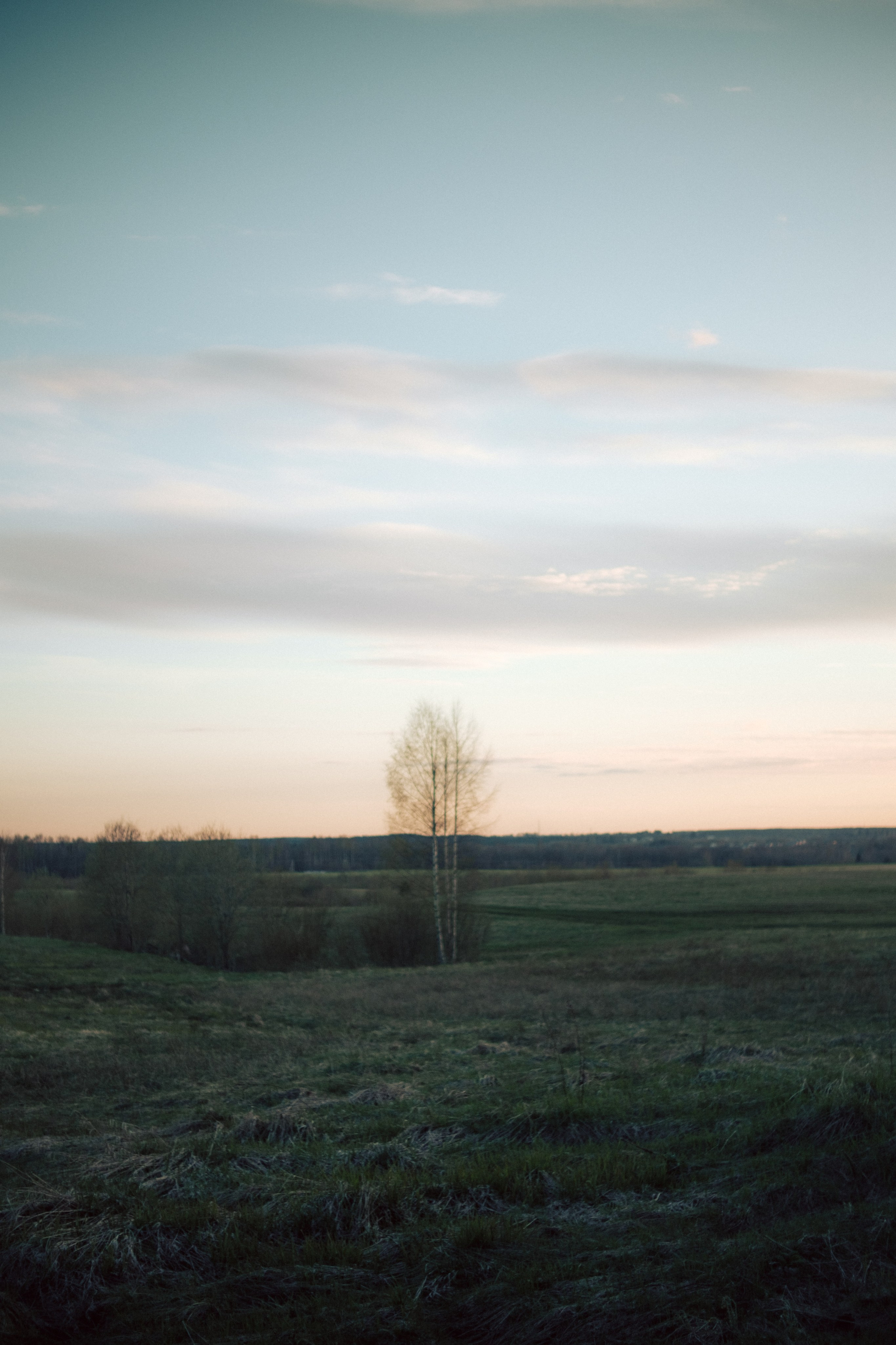 Андрей. Съёмка в поле. Lickord