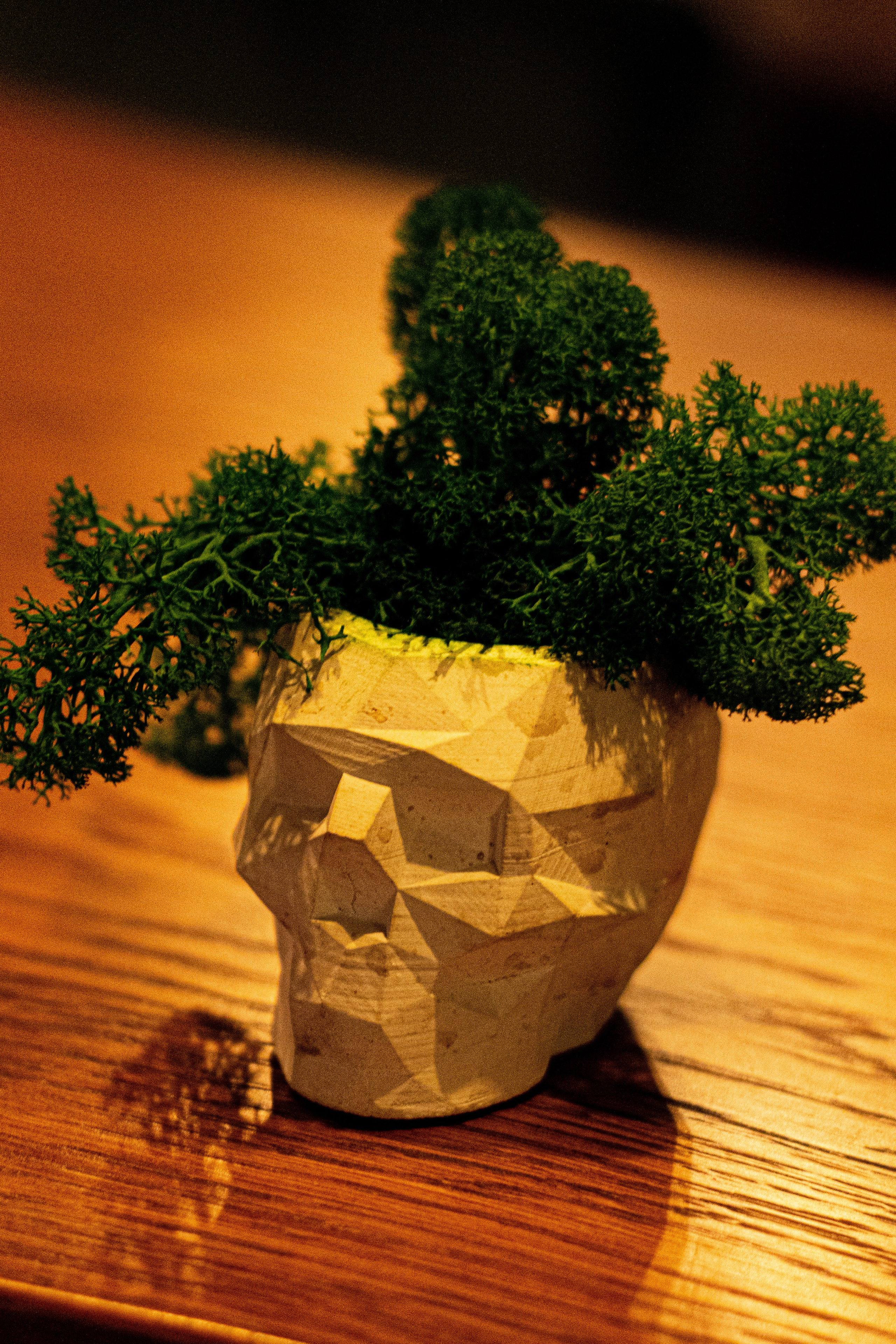 Food съёмка «Паназиатская кухня». Фотограф Екатерина Голицына