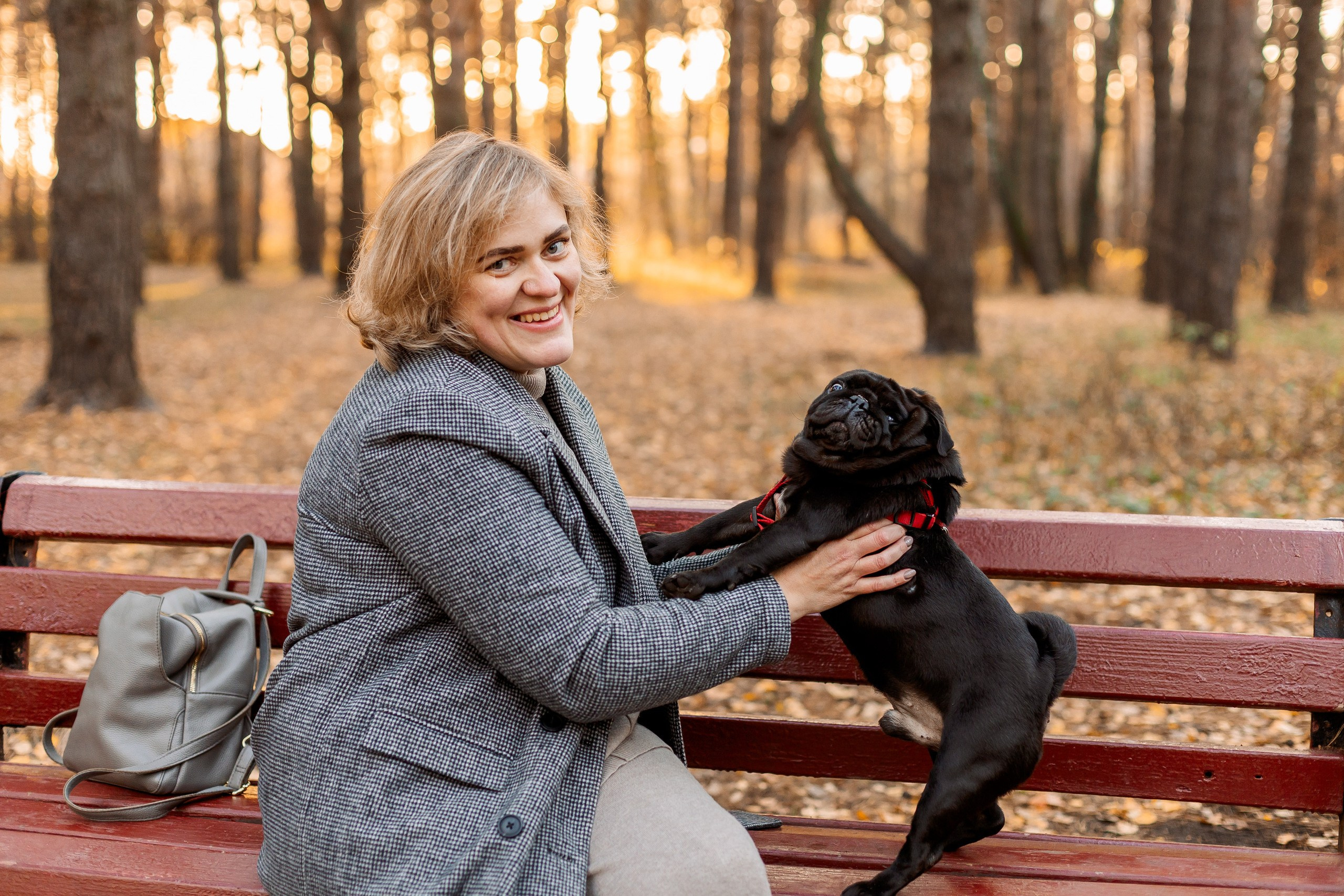 жулебинский лес