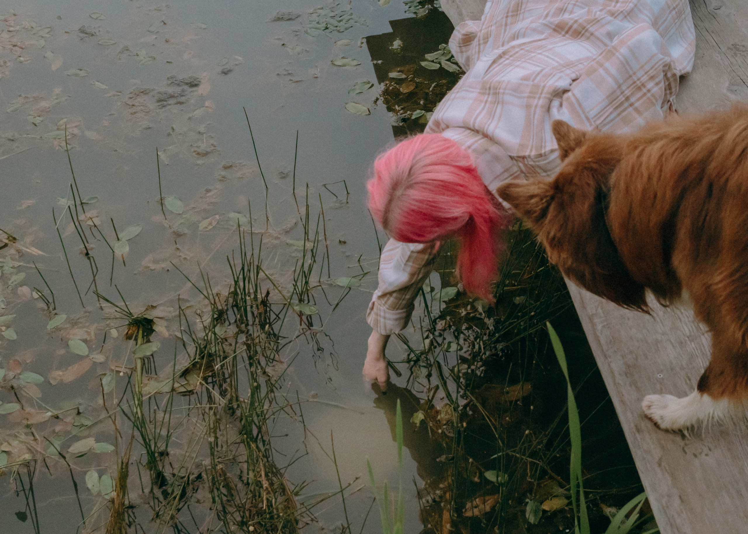 Виолетта, Лила и Питер. Фотограф-анималист Ксения Воробьева, Москва