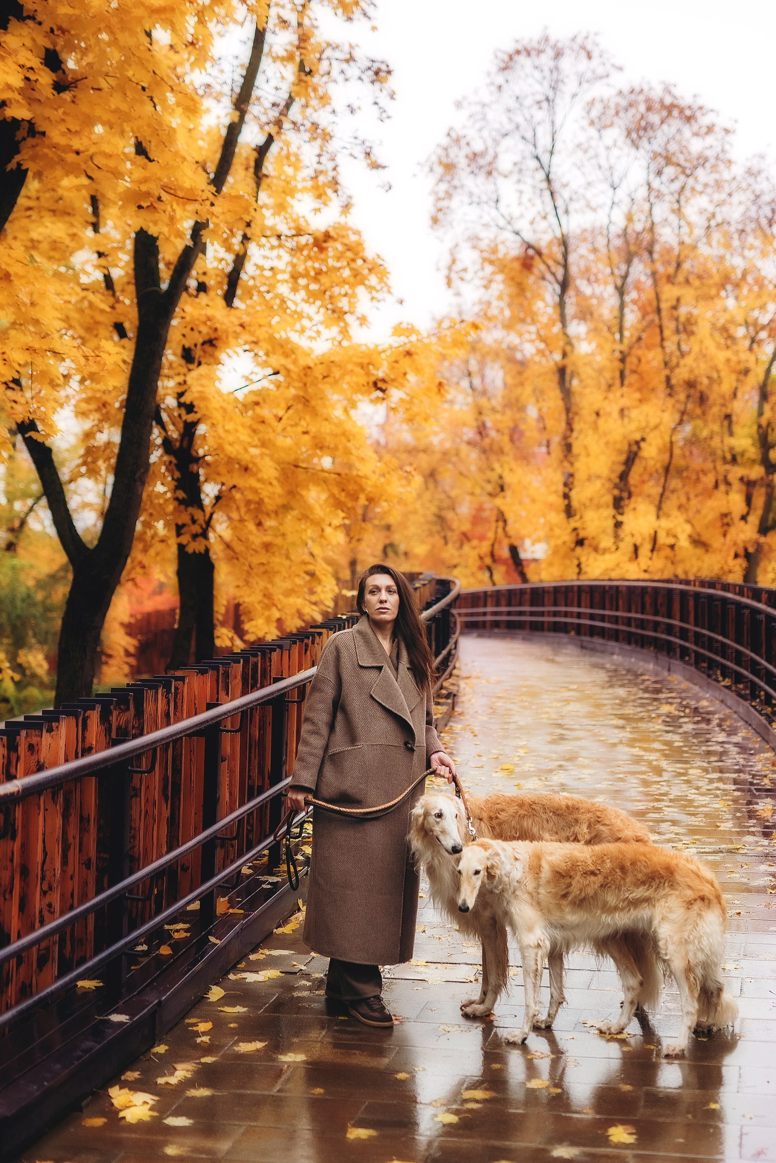 Фотосессия с борзыми. Семейный, детский фотограф в Воронеже Анна Никитина