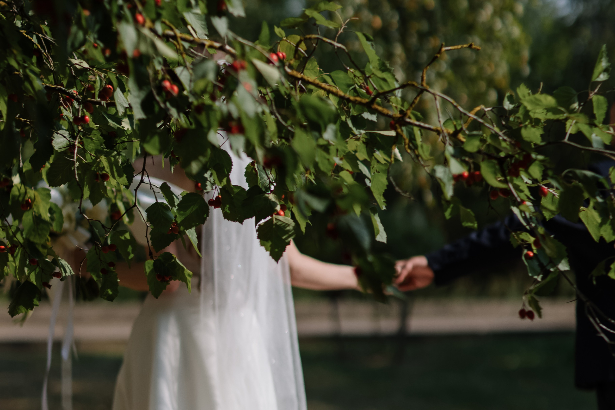 Evgeniy&Valeria. Свадебный фотограф