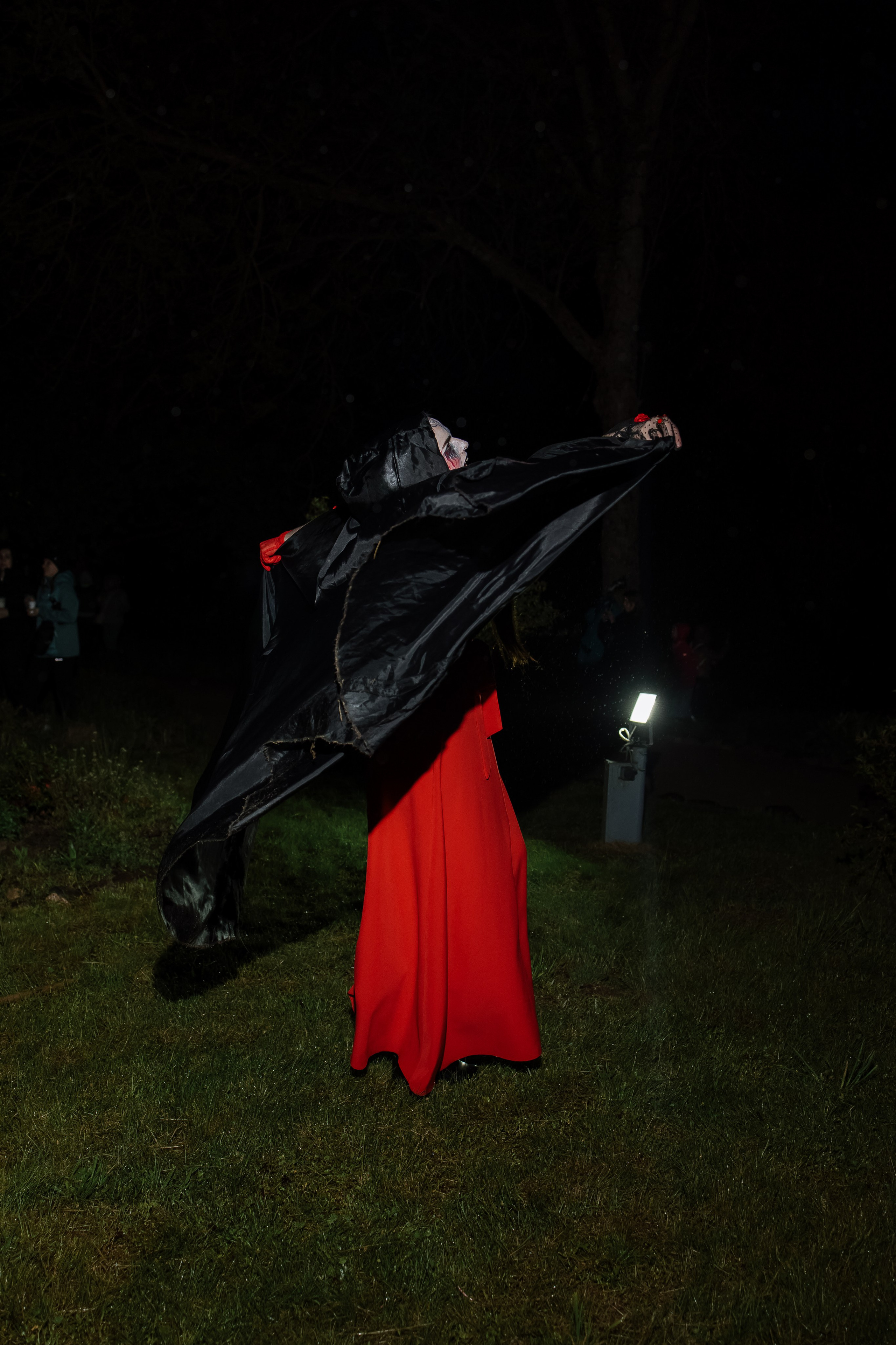 Ночь музеев Здравнево. Свадебный фотограф