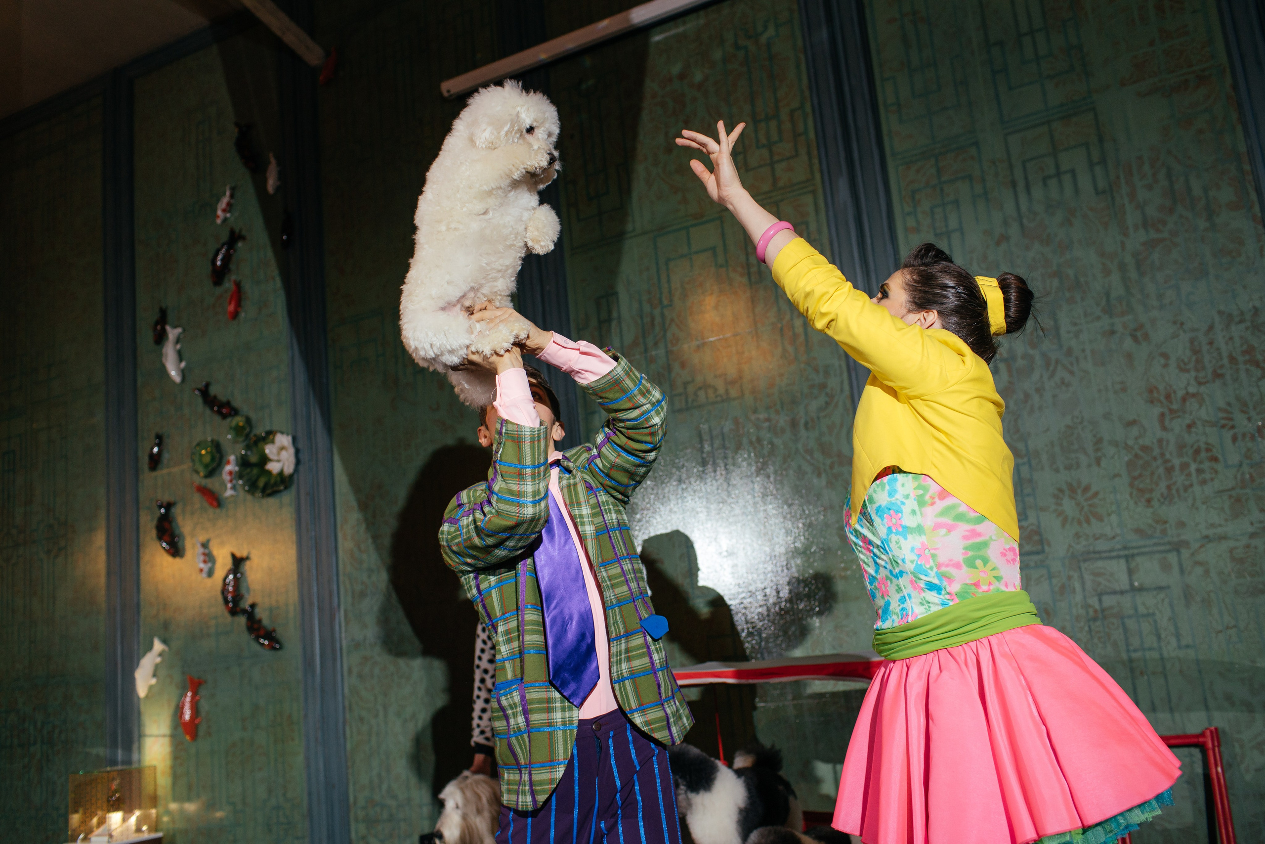 Алине 7 лет. Свадебный и семейный фотограф