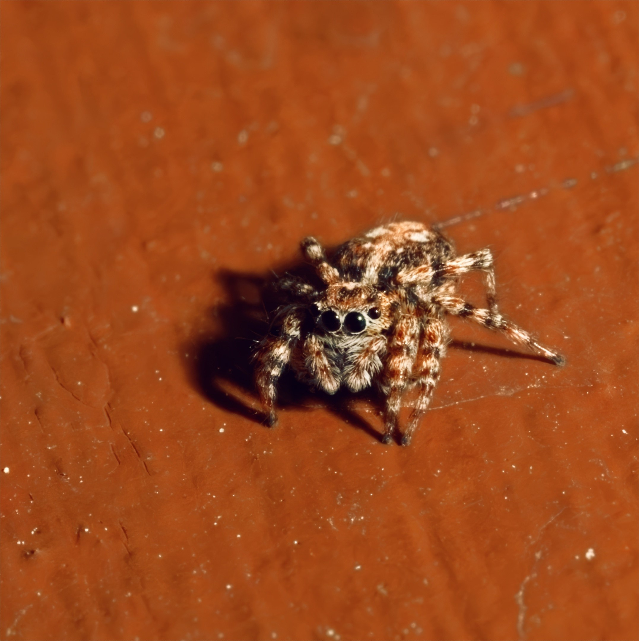 ПРИРОДА. Слепки времени. Фотографии природы и событий. Москва. Сергей Аллагулов