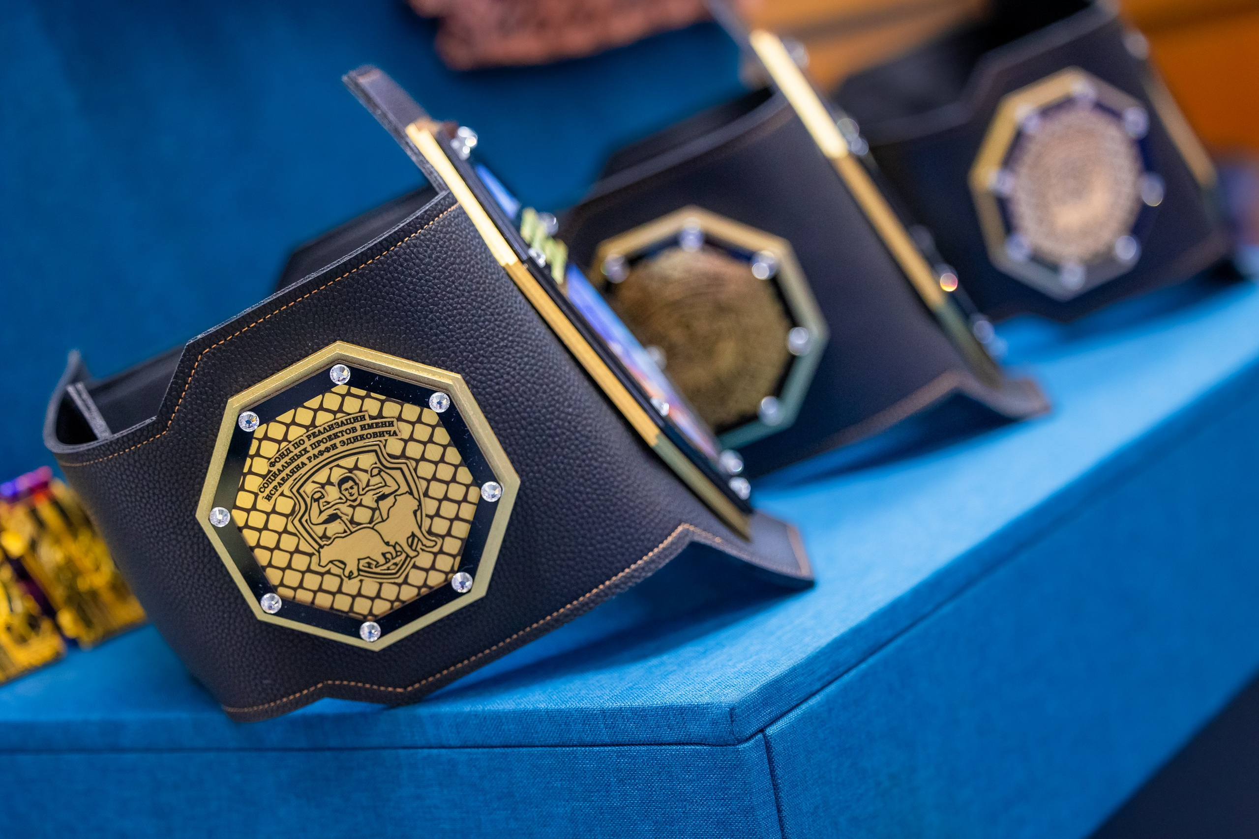 IX чемпионат Алтайского края по греко-римской борьбе. Репортажный фотограф в Барнауле Владимир Игнатов